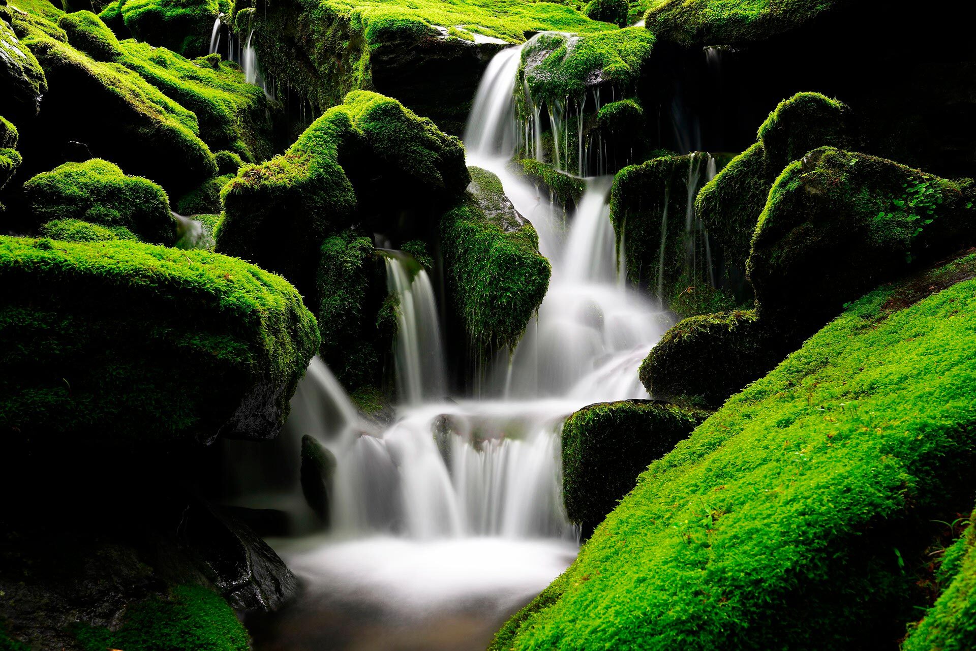 Водопад зелень