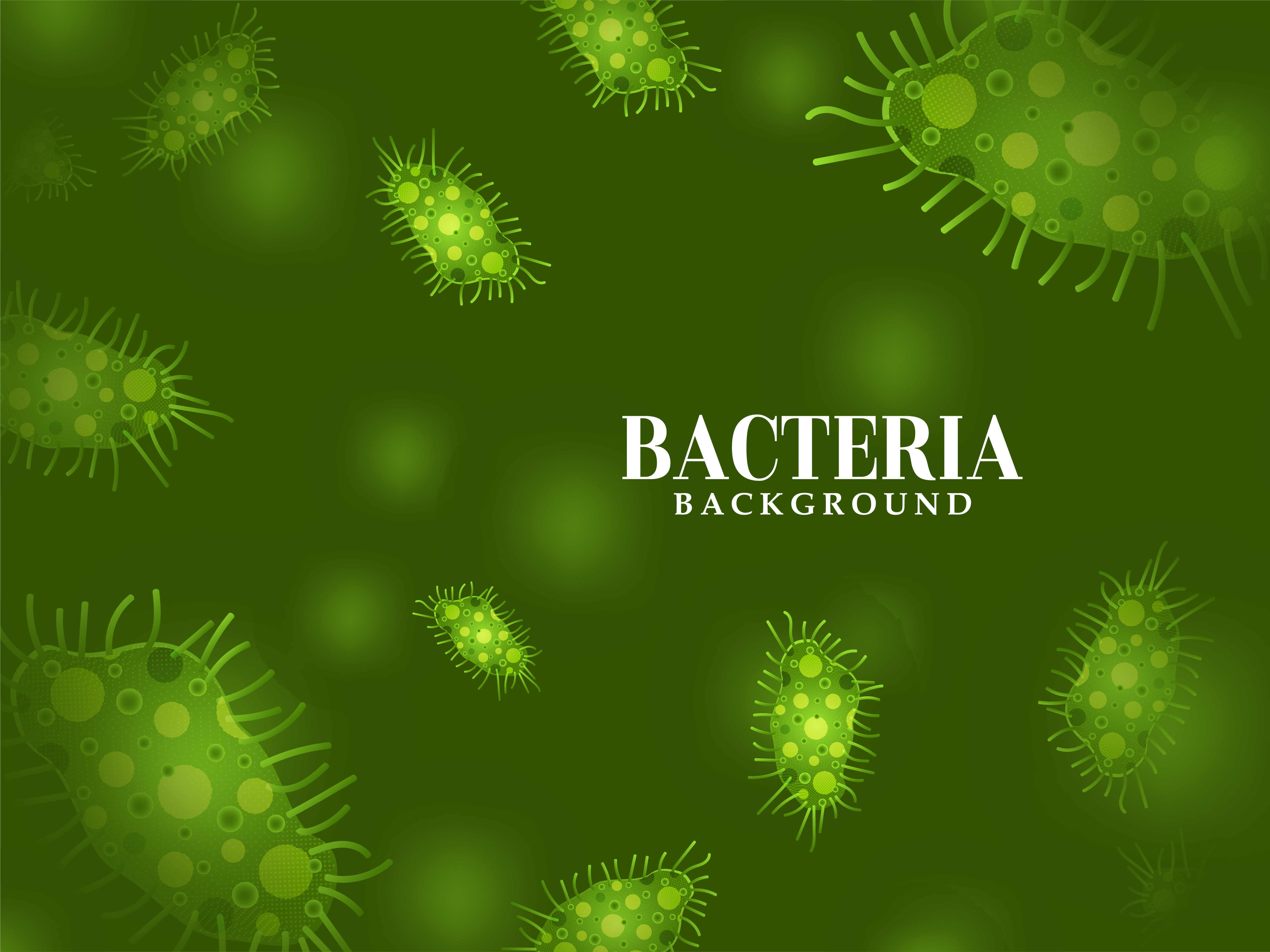 Зеленые бактерии