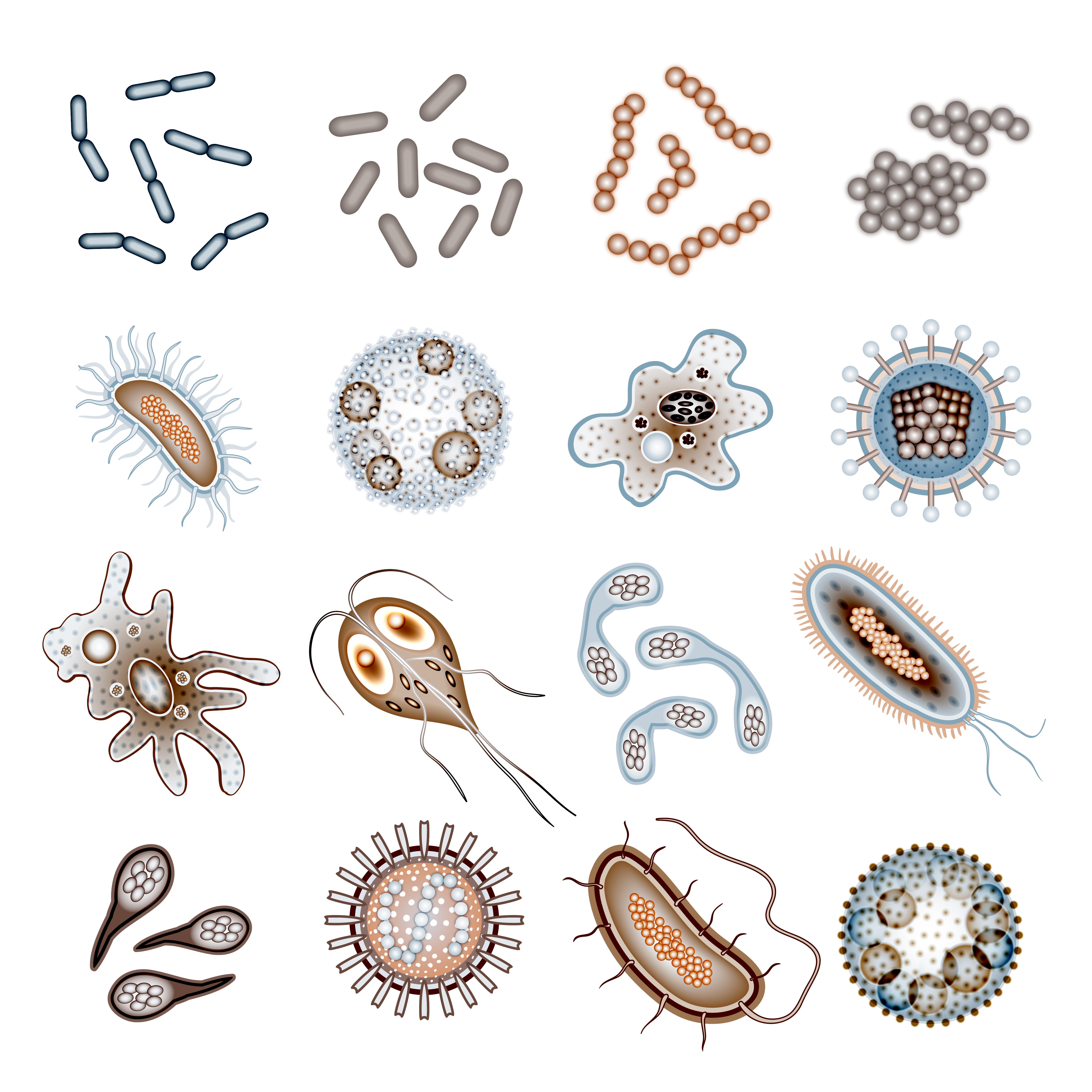 Бактерии для печати