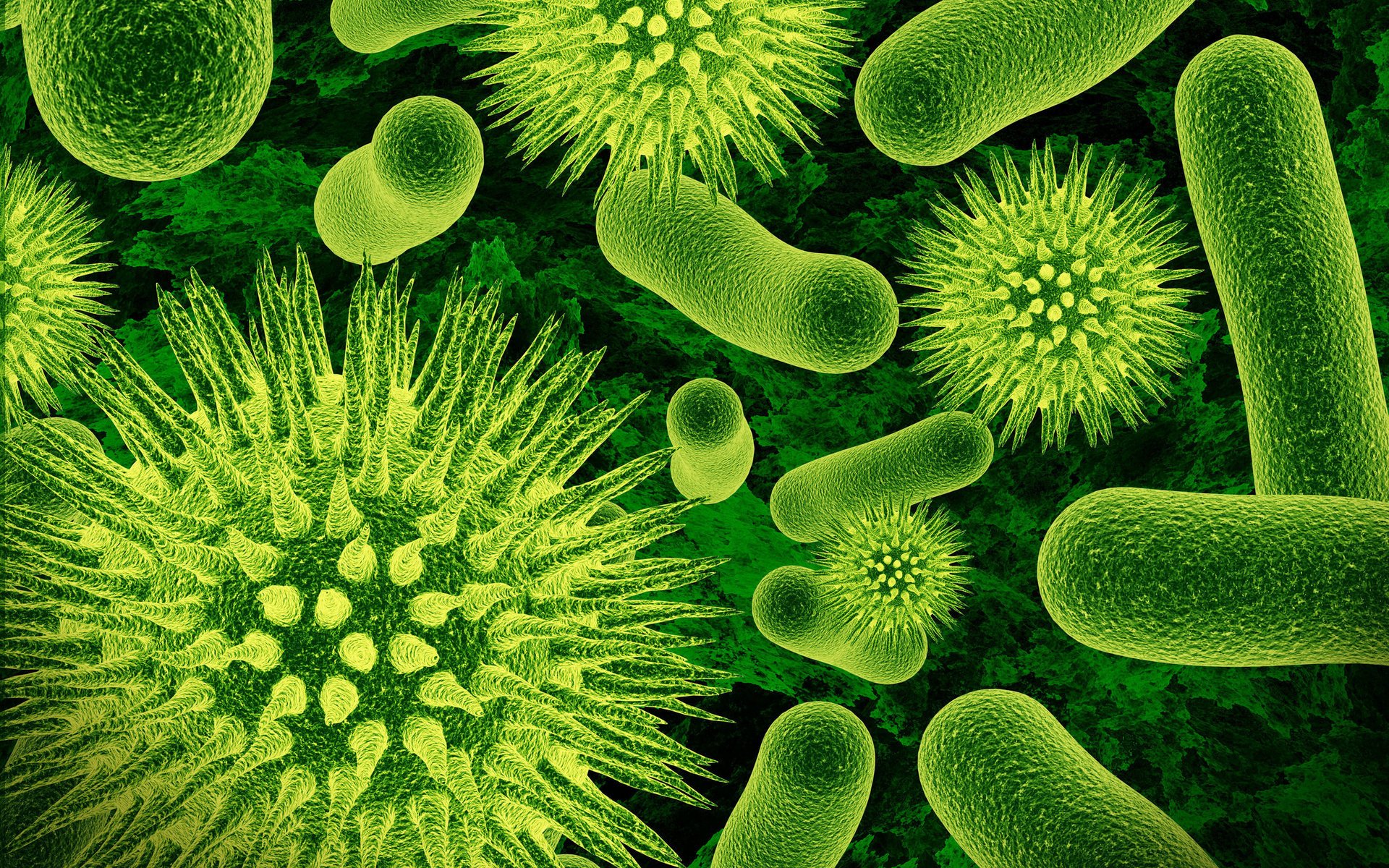 Вирусы бактерии микробы