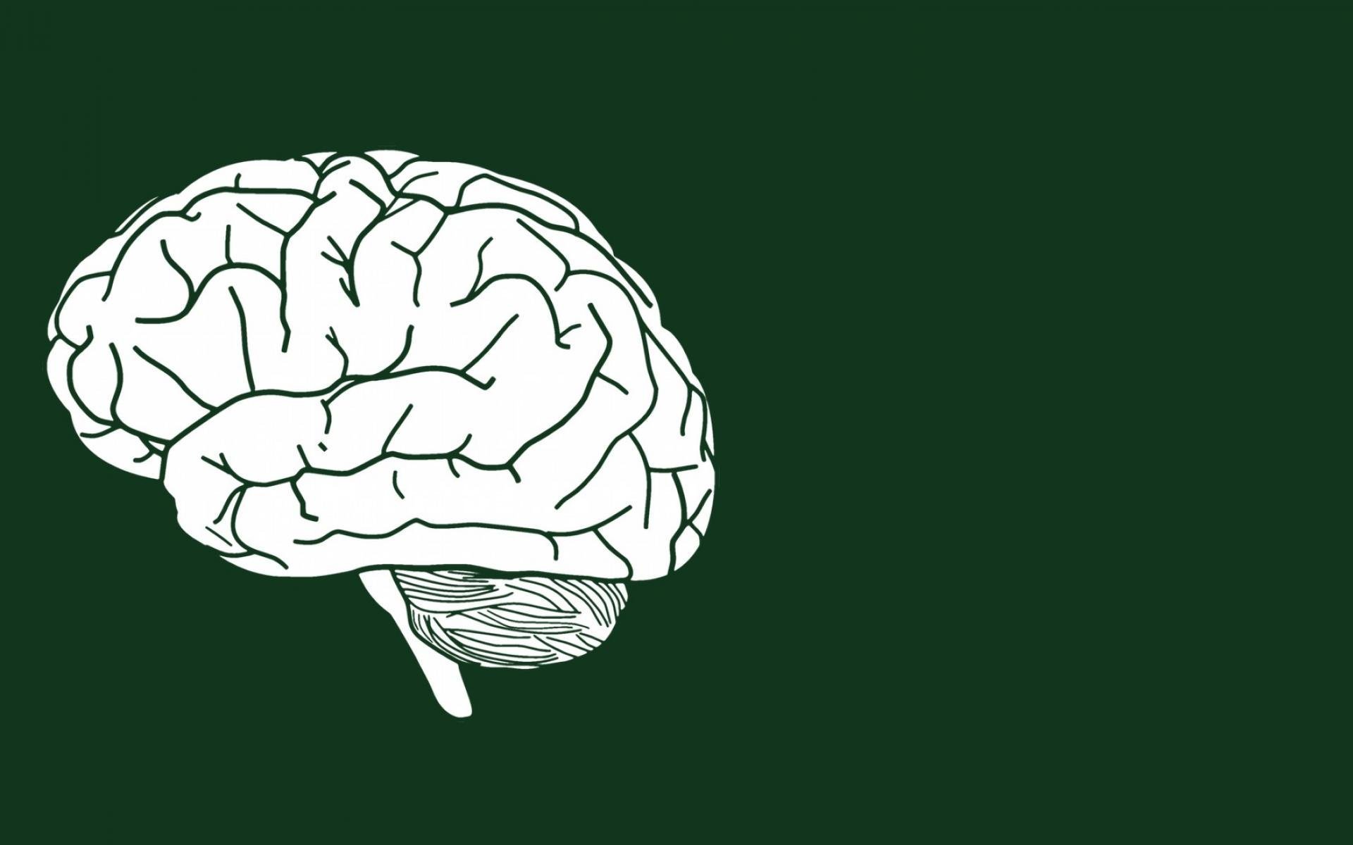 Минималистичный мозг