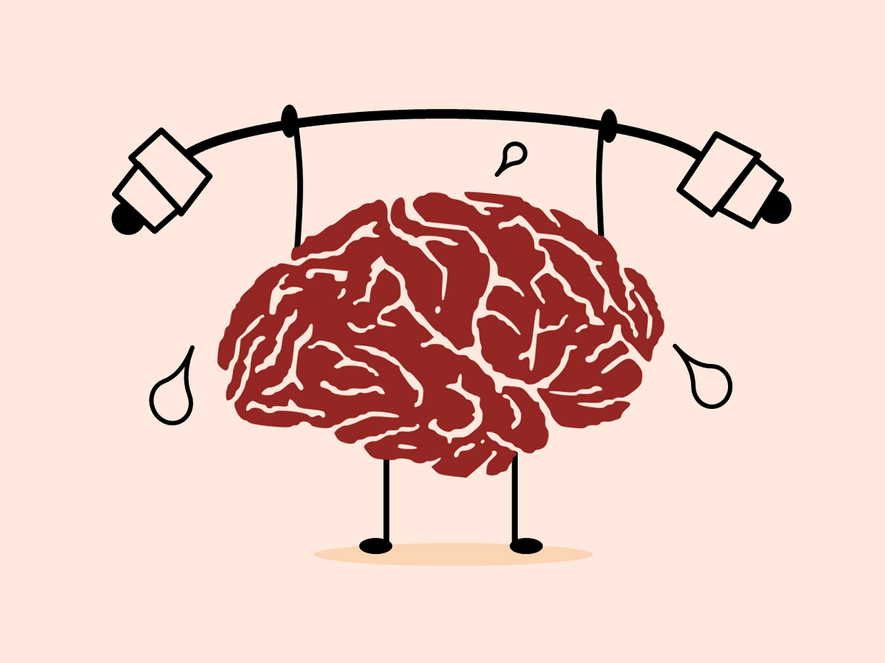 Мозг ум