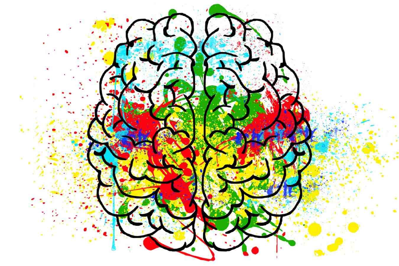 Цветной мозг