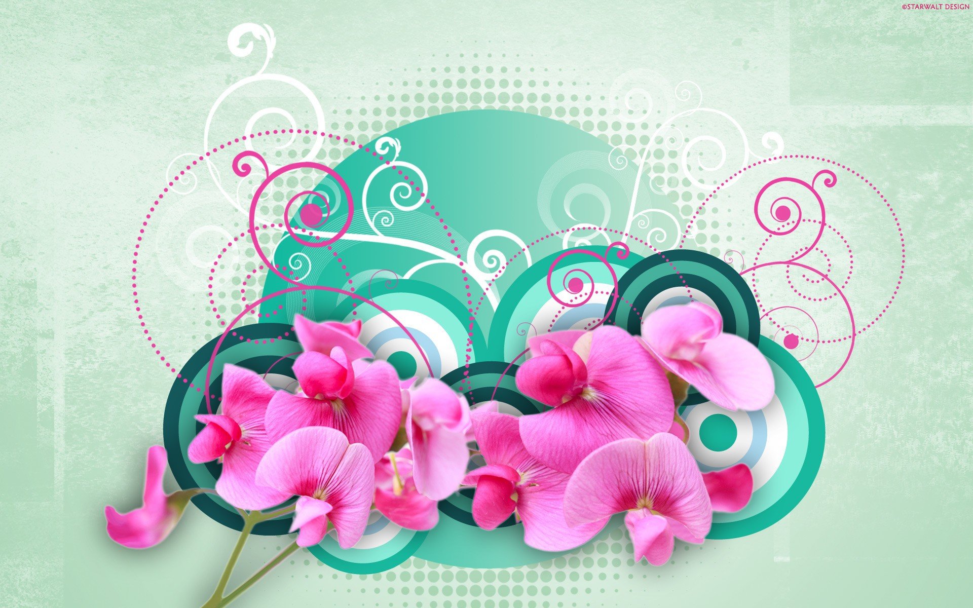 Цветы открытки Орхидея с 8 марта