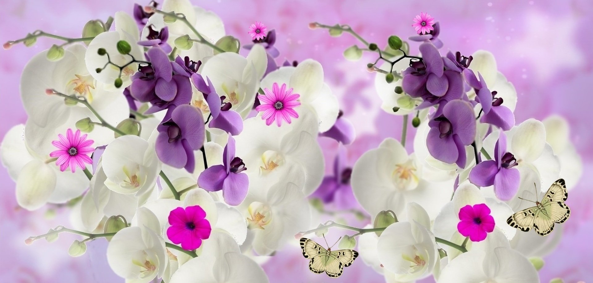 Фон фотошопа цветы орхидеи в саду