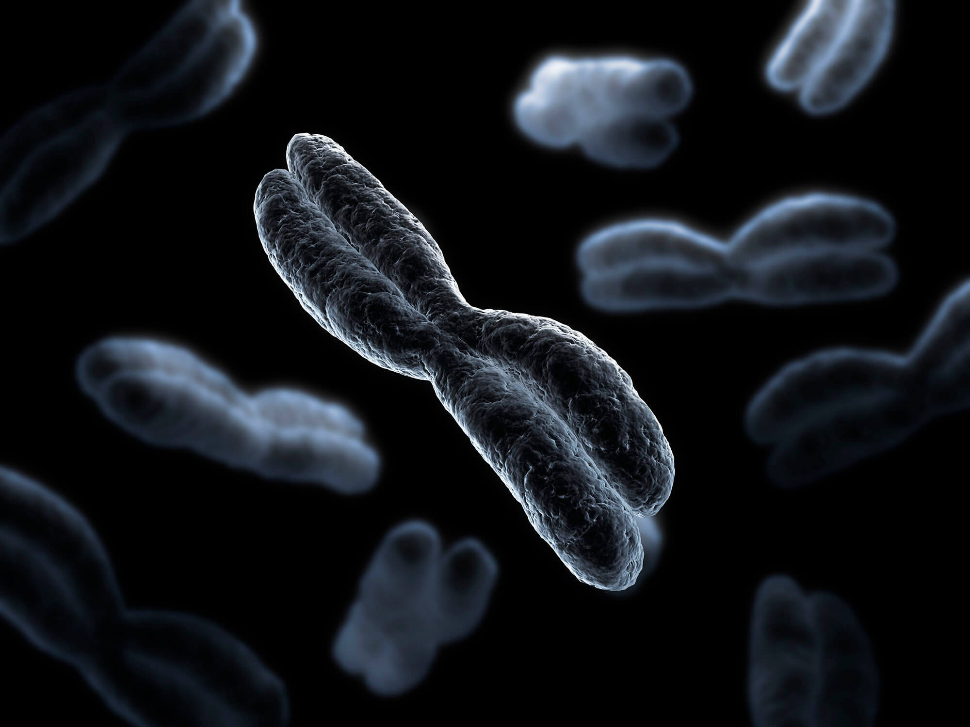 Хромосомы лучше видны. Хромосома. Хромосомы Эстетика. Хромосомы в микроскопе. Хромосомы на черном фоне.