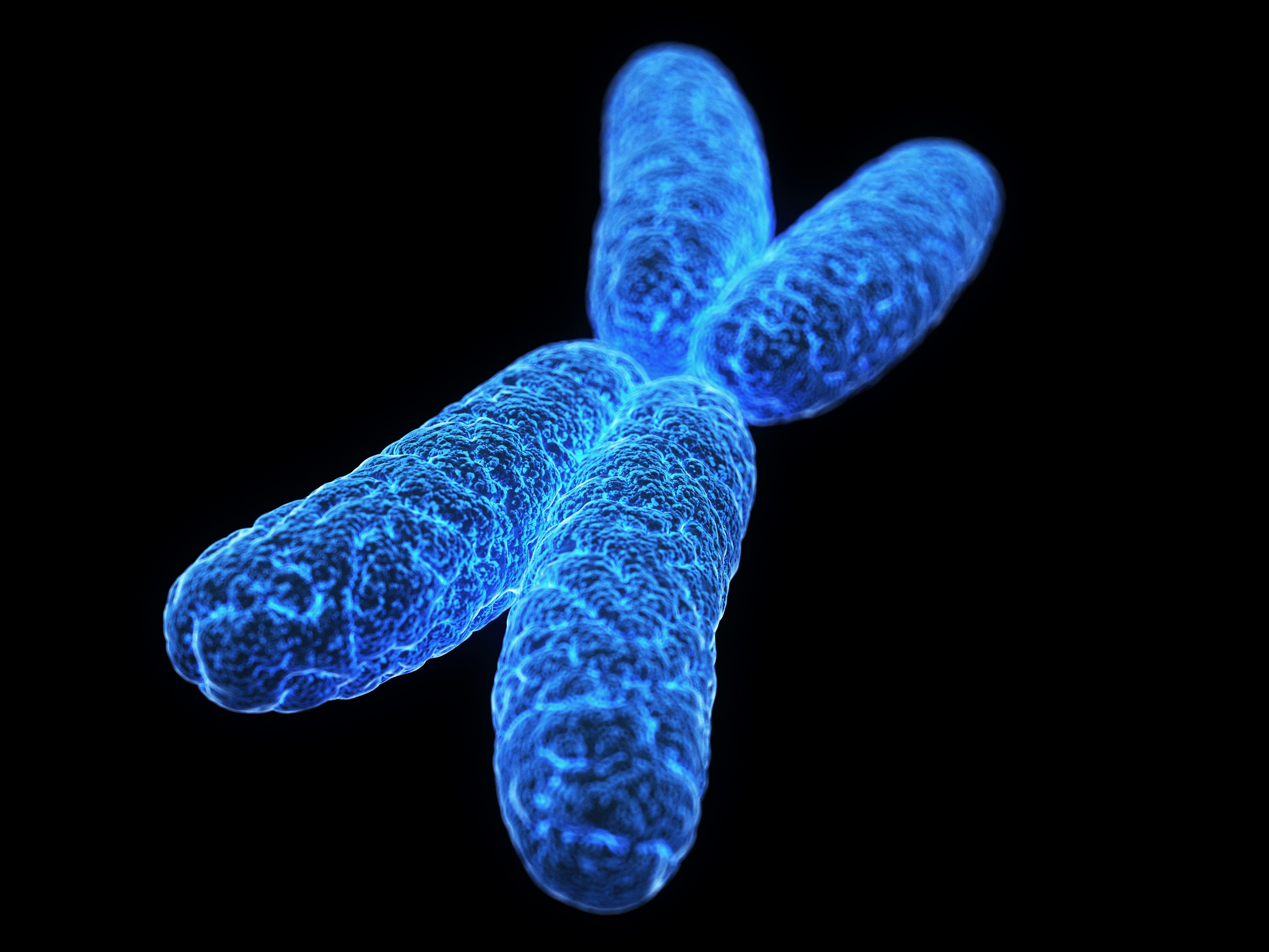Хромосомы лучше видны. Хромосома. Хромосома на белом фоне. Хромосомы на черном фоне. Хромосомы картинки.