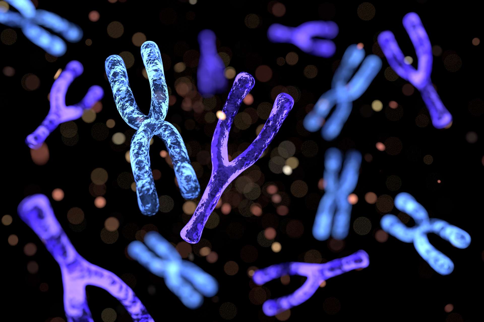Хромосомные мутации под микроскопом