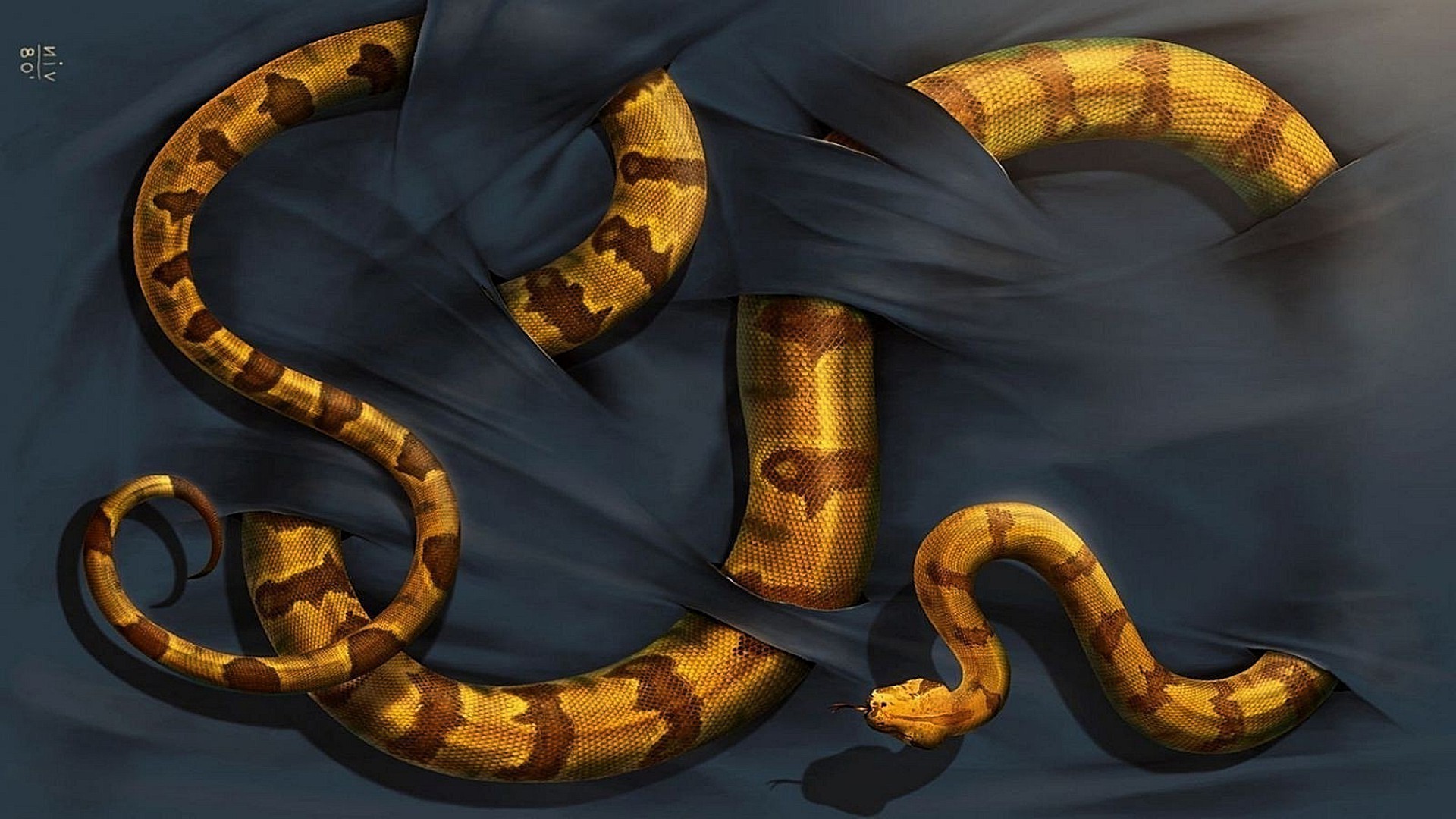 Черно Золотая змея