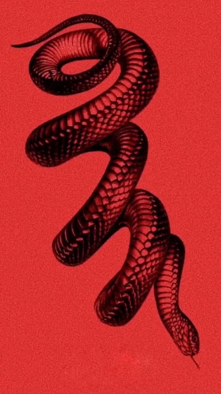 Красные змеи Эстетика