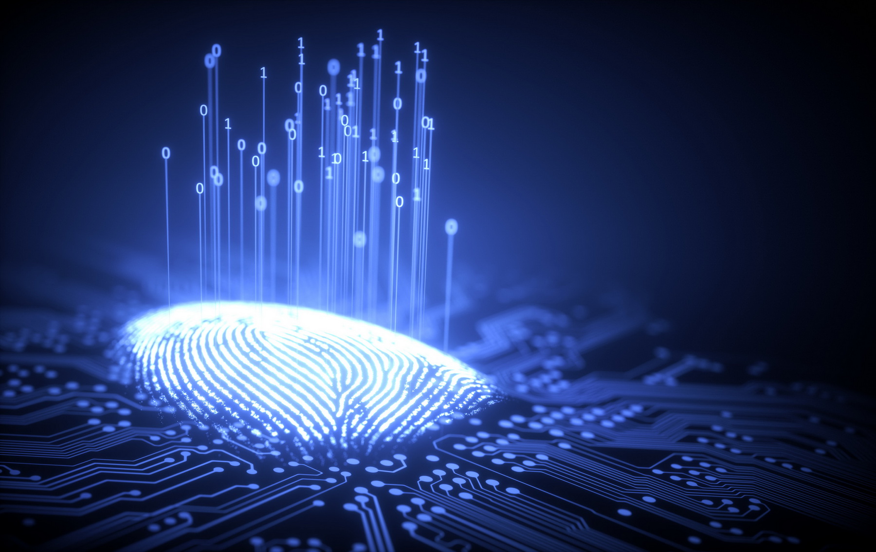 Цифровой отпечаток (Digital Fingerprint)