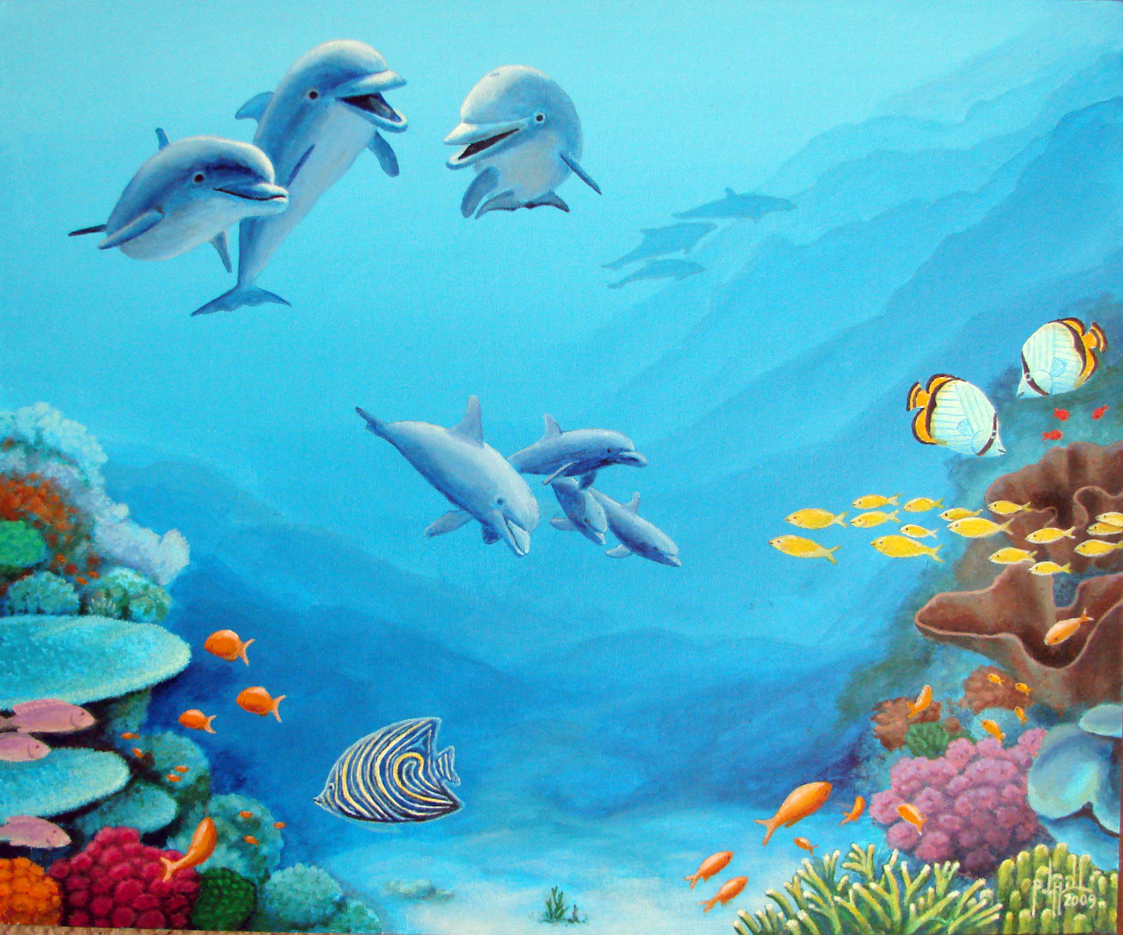 Коралловые рифы дельфины