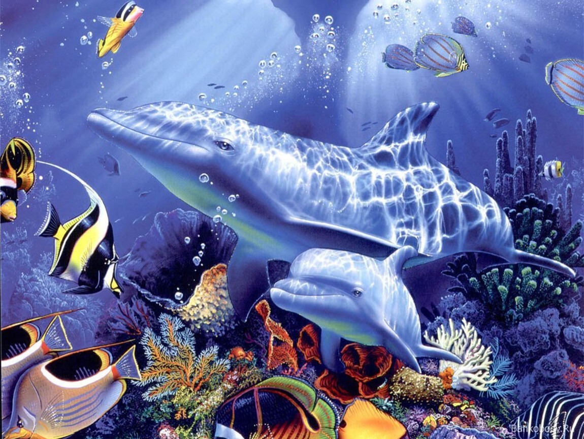 подводный мир океанов и морей