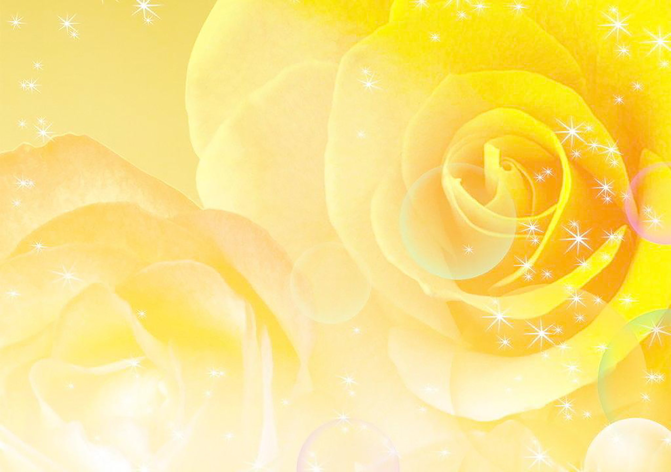 Фон нежная роза желтая