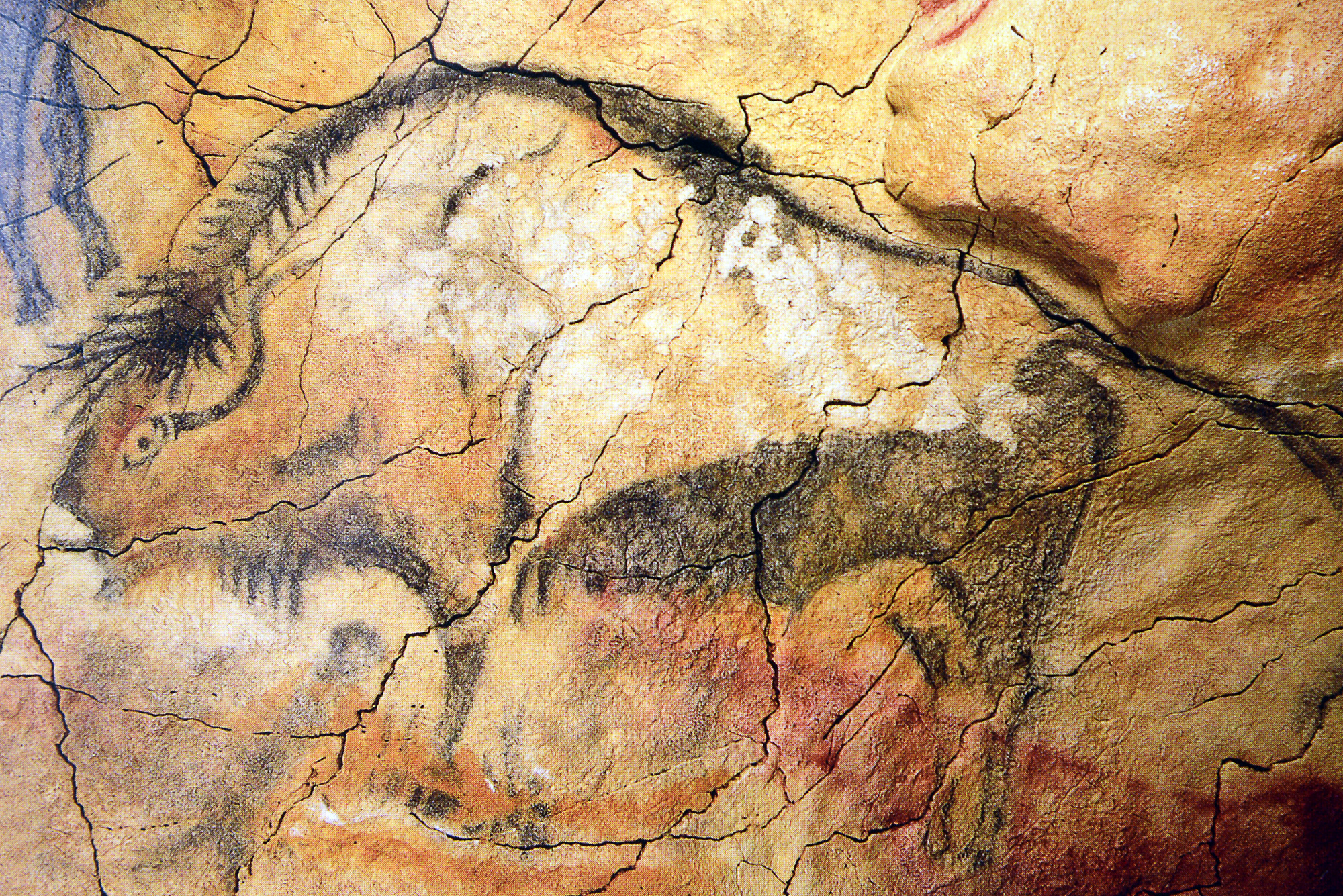 Роспись пещеры Альтамира Испания
