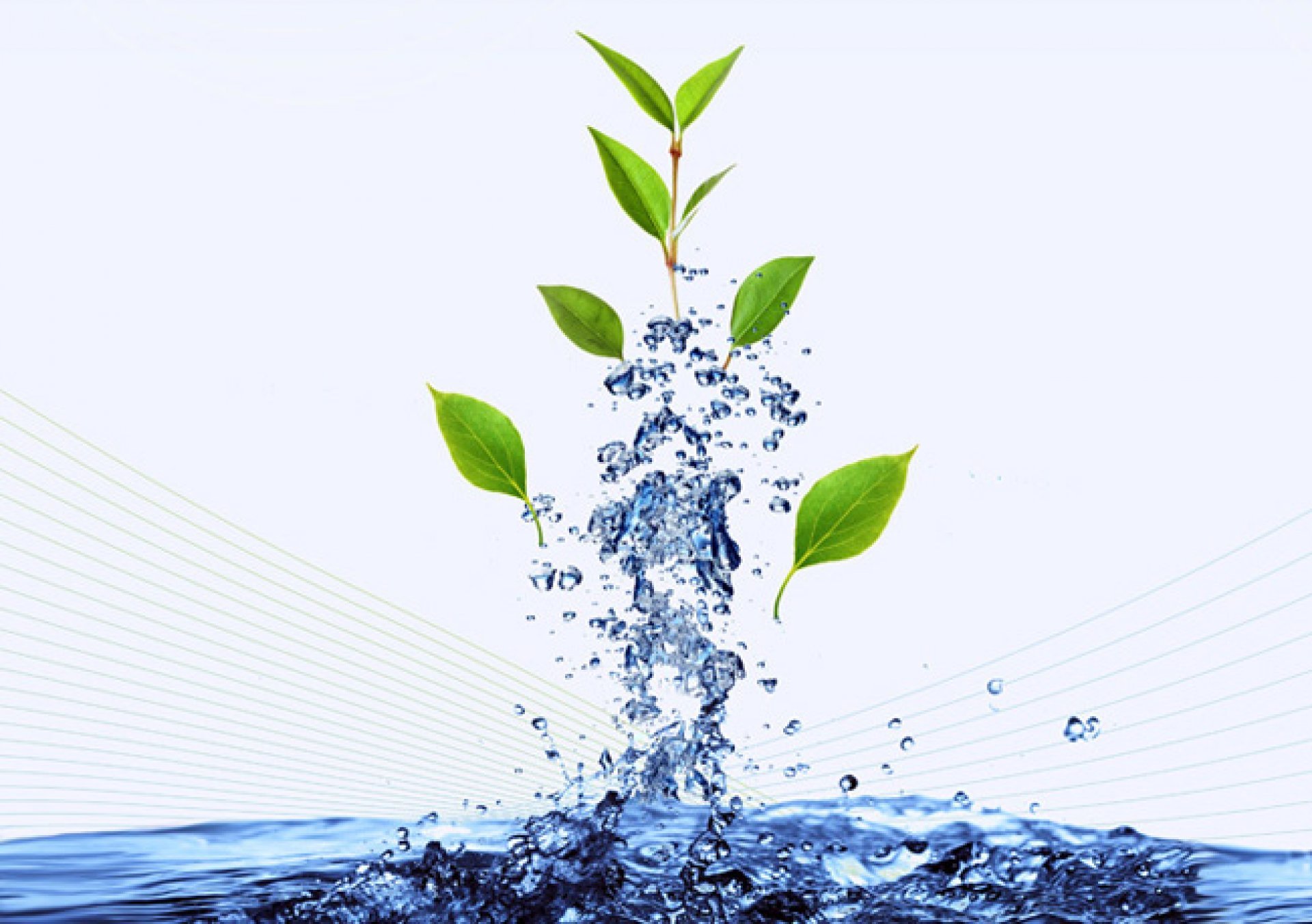 Чистая вода экология