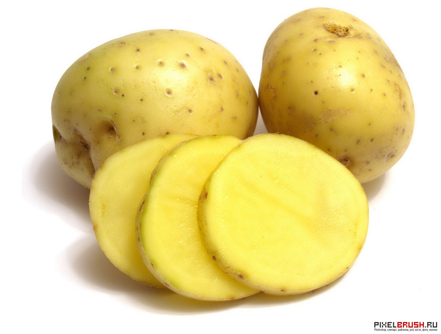 Potatoes picture. Картошка картинка. Картофель на белом фоне. Картофель для детей. Картофель картинка для детей.