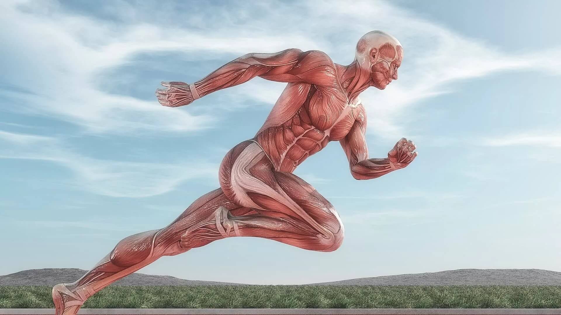 Бегущий человек мышцы