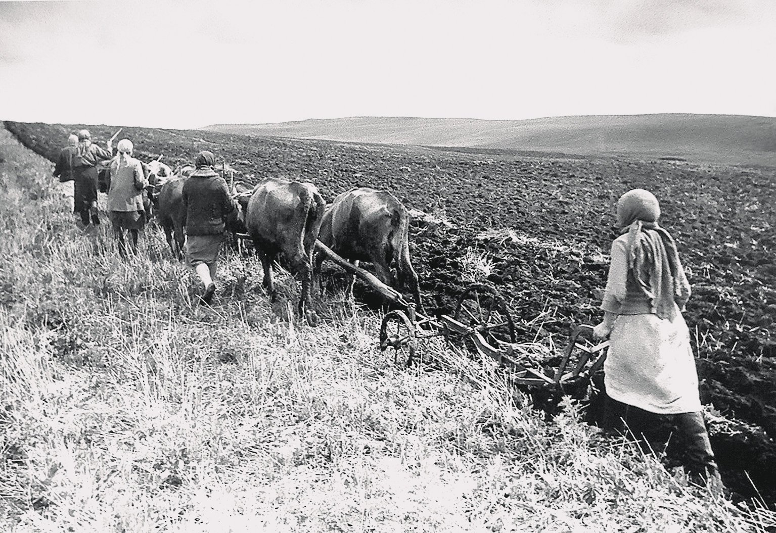 Труженики тыла в годы Великой Отечественной войны колхоз
