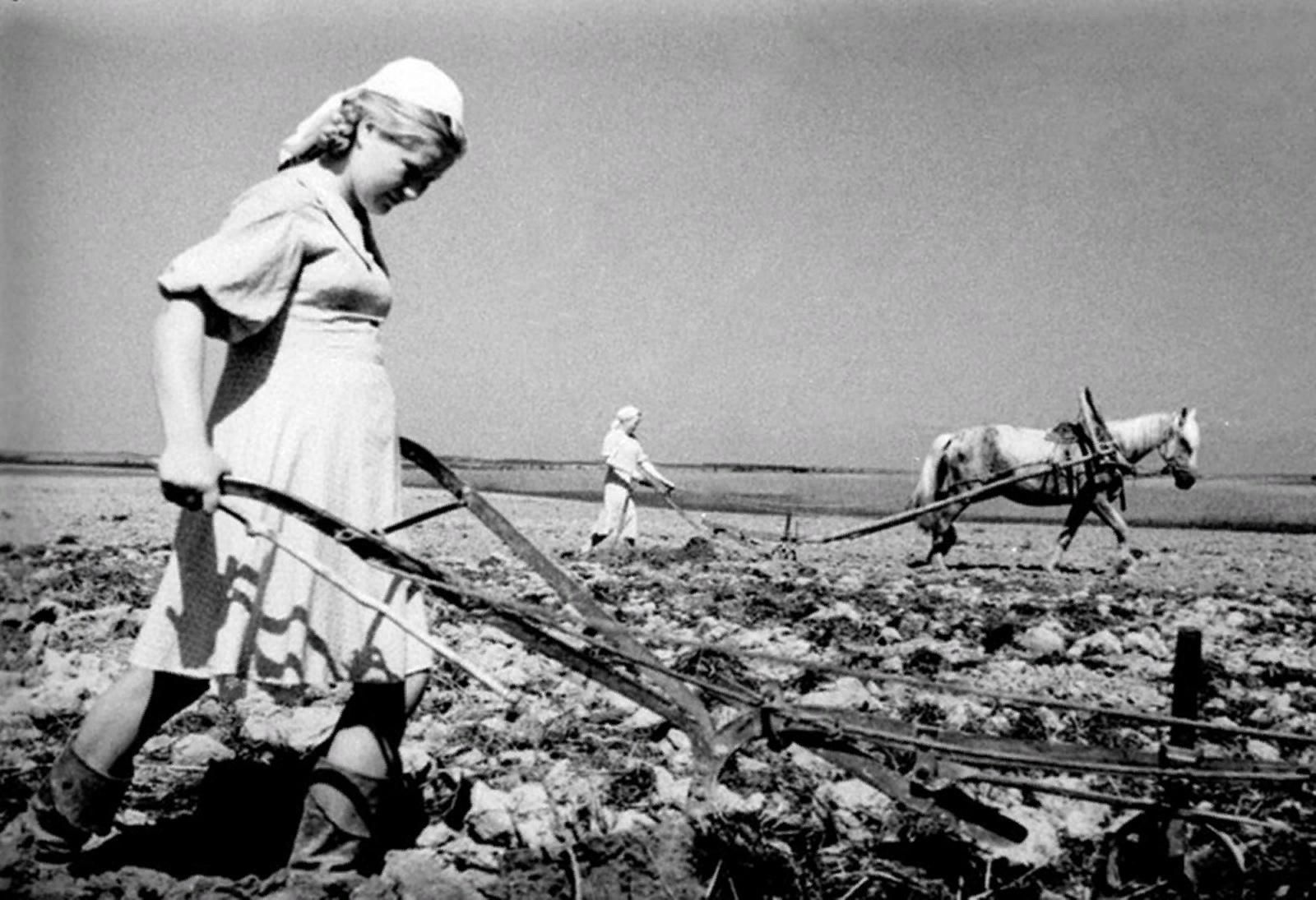 Женщины в тылу в годы Великой Отечественной войны в колхозе