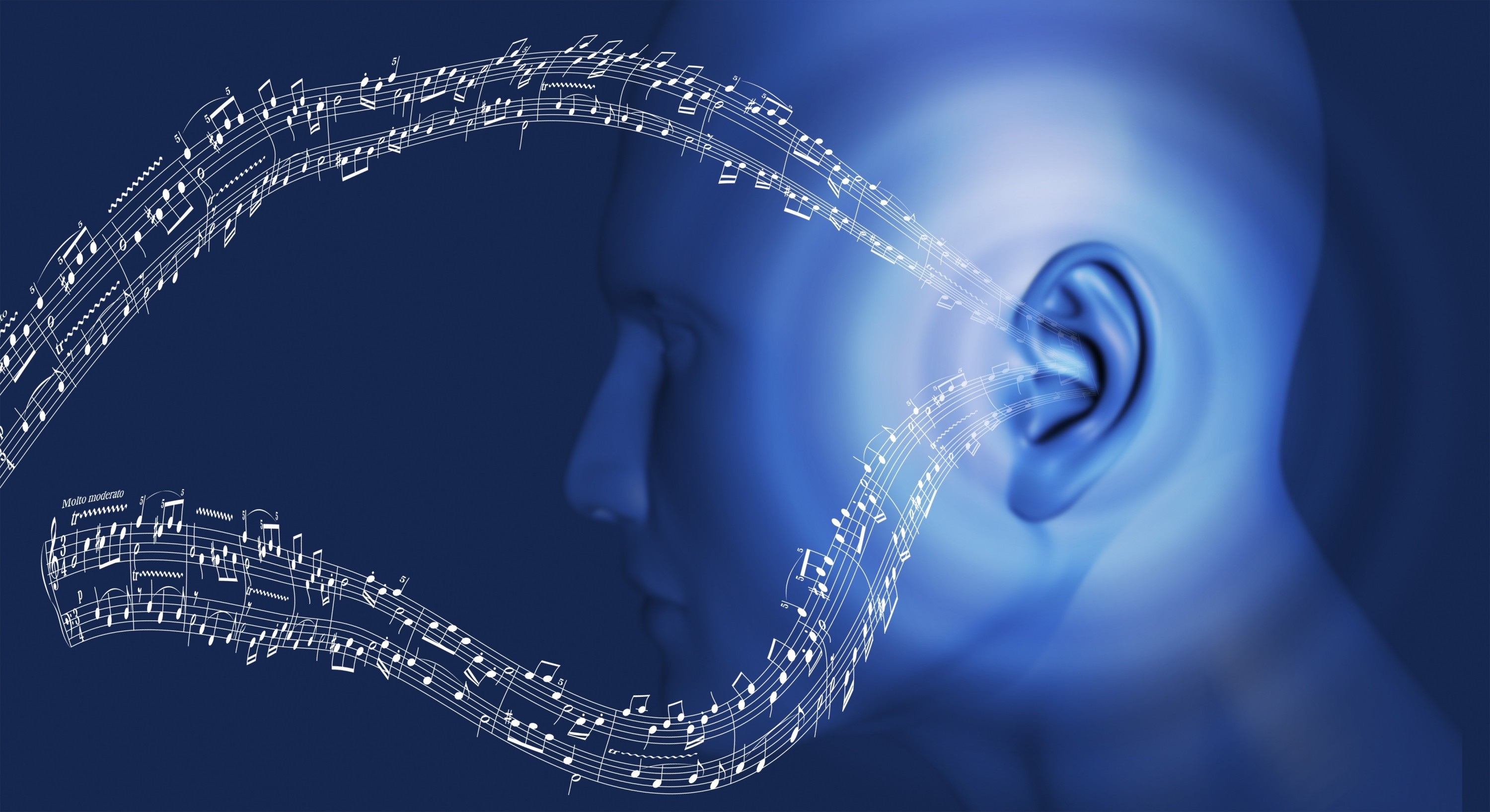 Различные музыкальные звуки. Слуховая информация. Человек и звук. Ухо и звуковые волны. Слуховые представления.