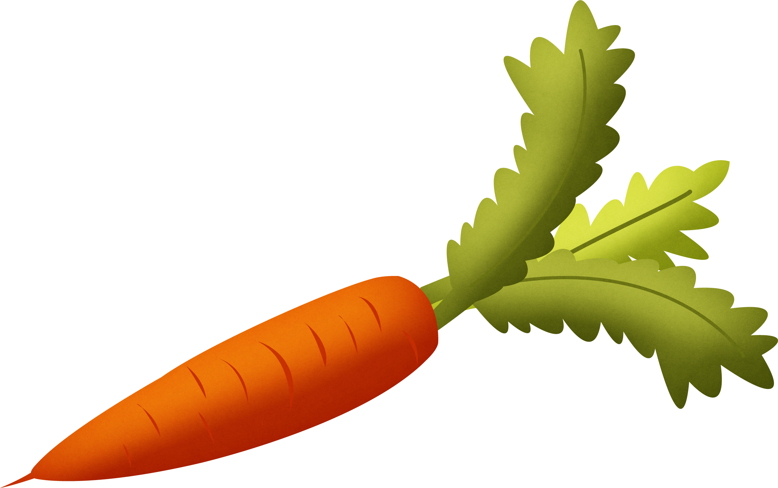 Картинки морковка на прозрачном фоне