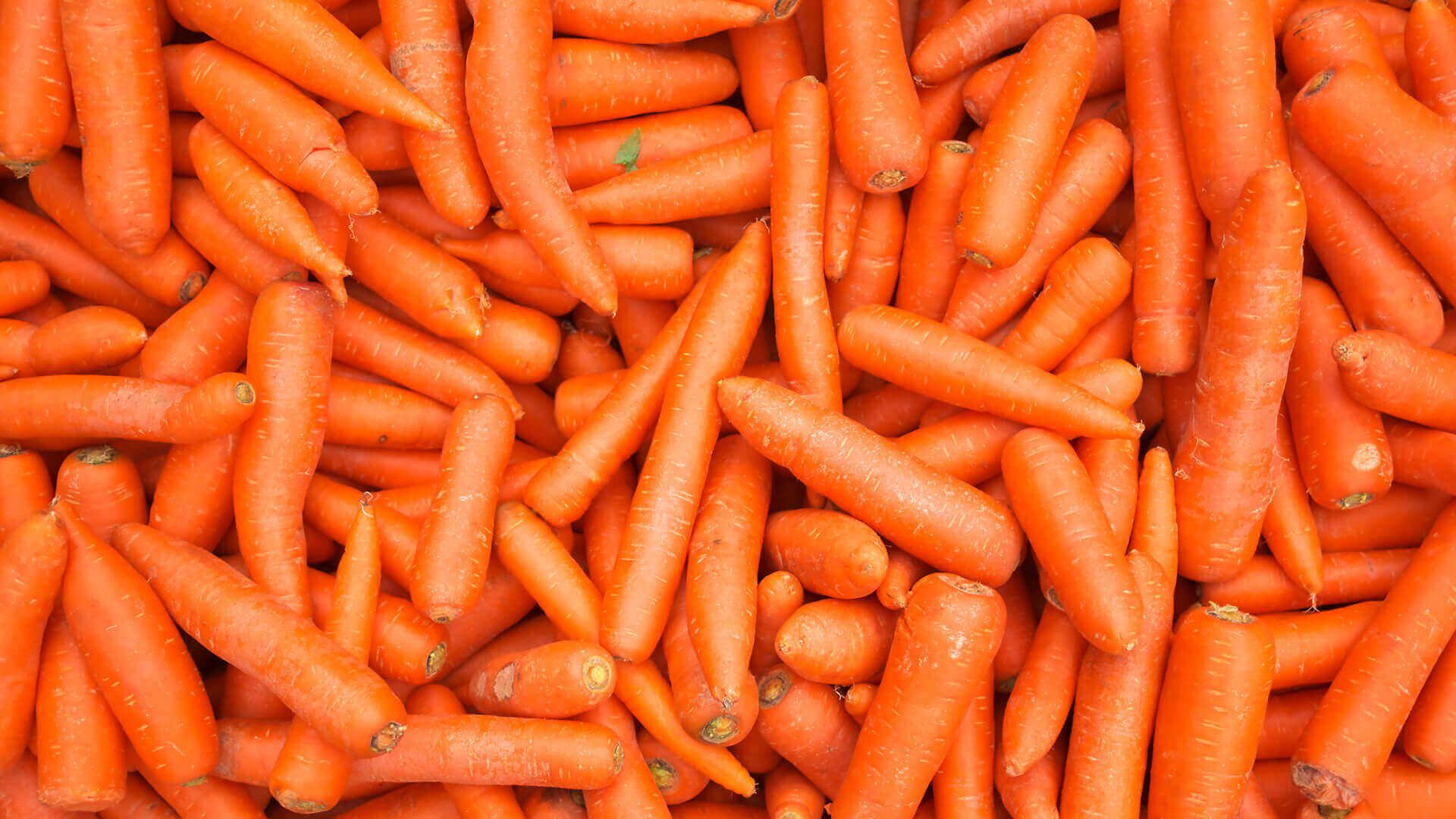 Zanahoria calorias 100 gramos
