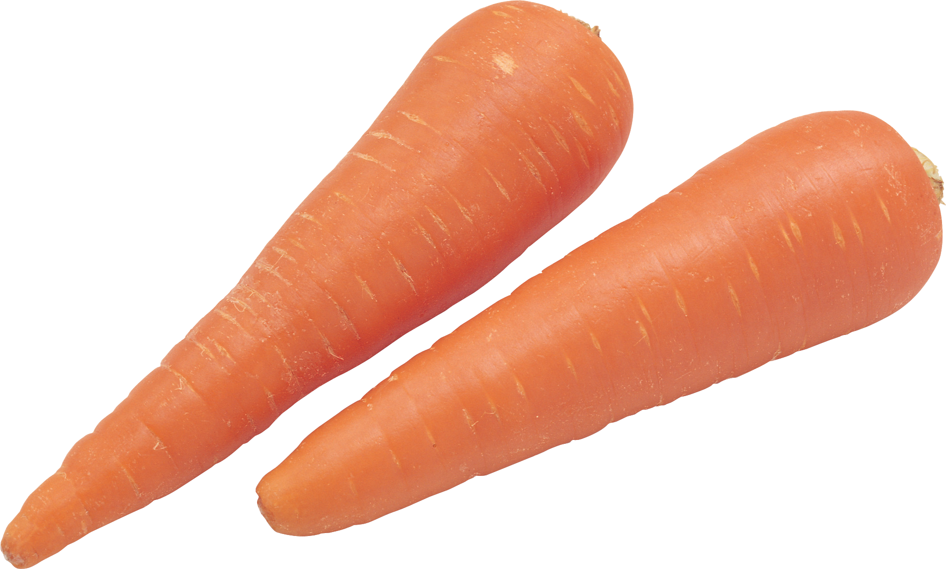 Картинка овощей по отдельности. Морковь. Морковь на прозрачном фоне. Морковка на белом фоне. Морковь картинка.
