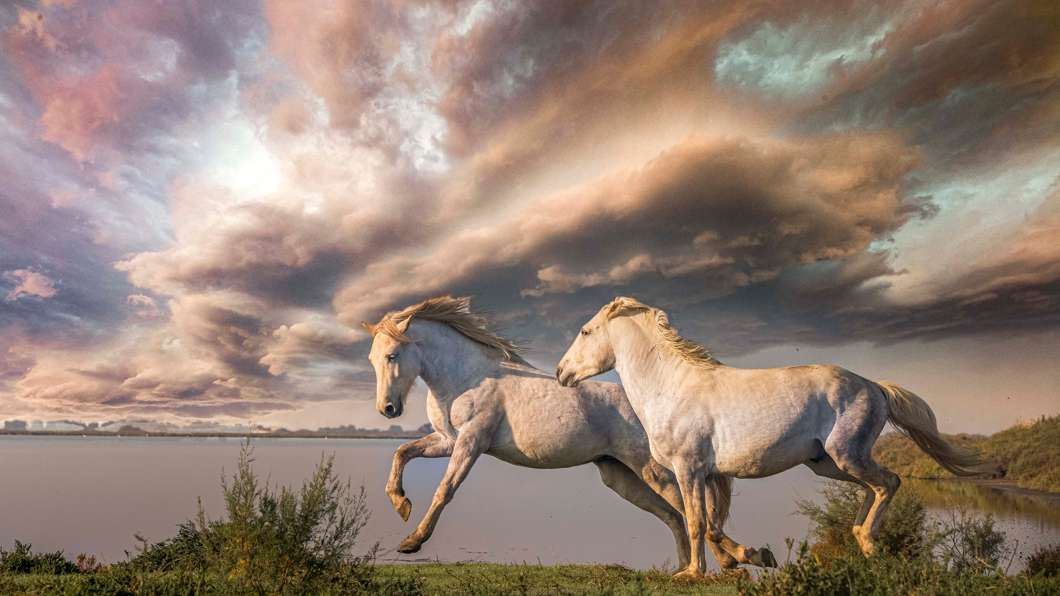 Лошадь на фоне пейзажа