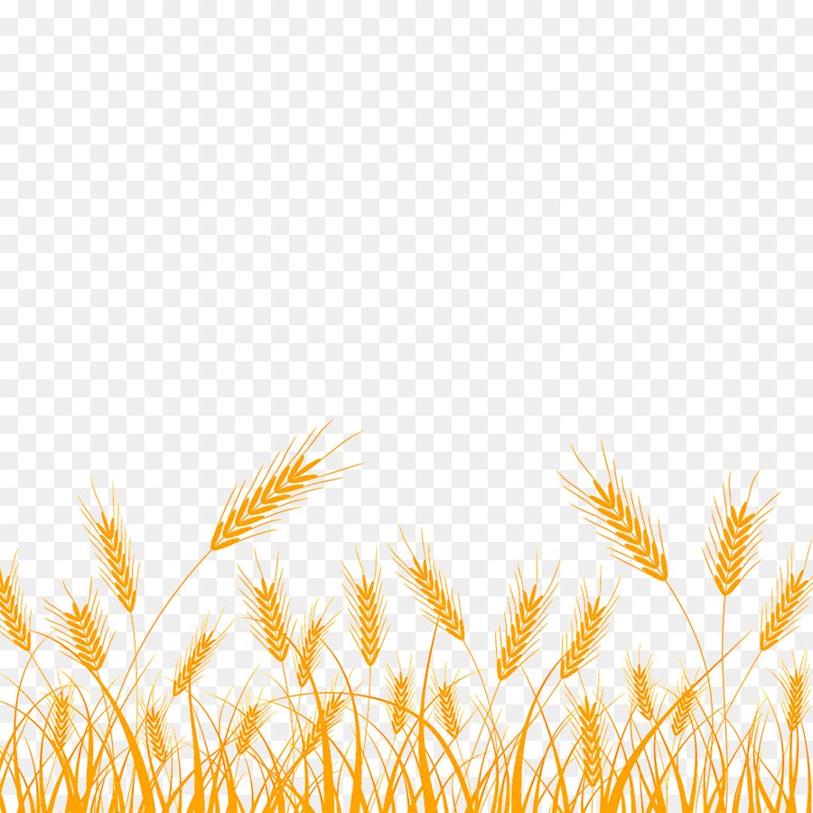 Рамка с колосьями пшеницы