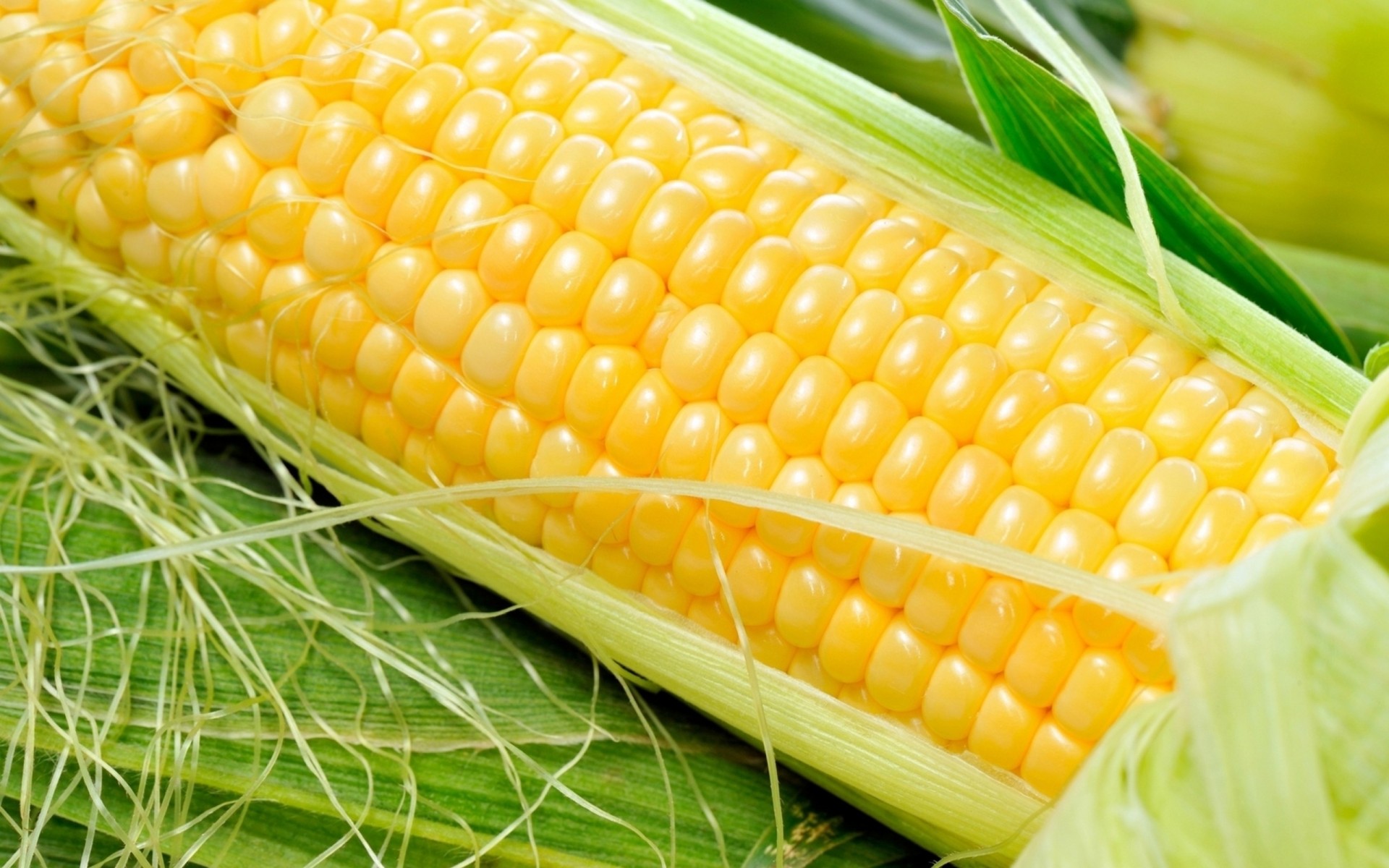 П7709 кукуруза