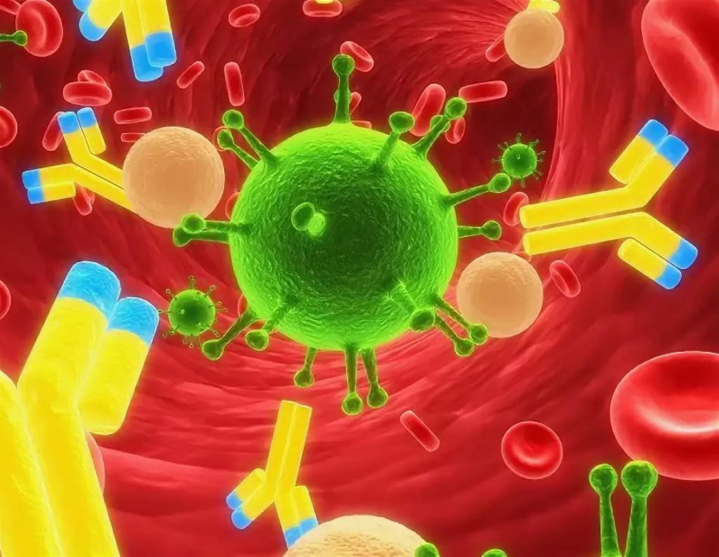 Антитела иммунитет иммуномодуляторы