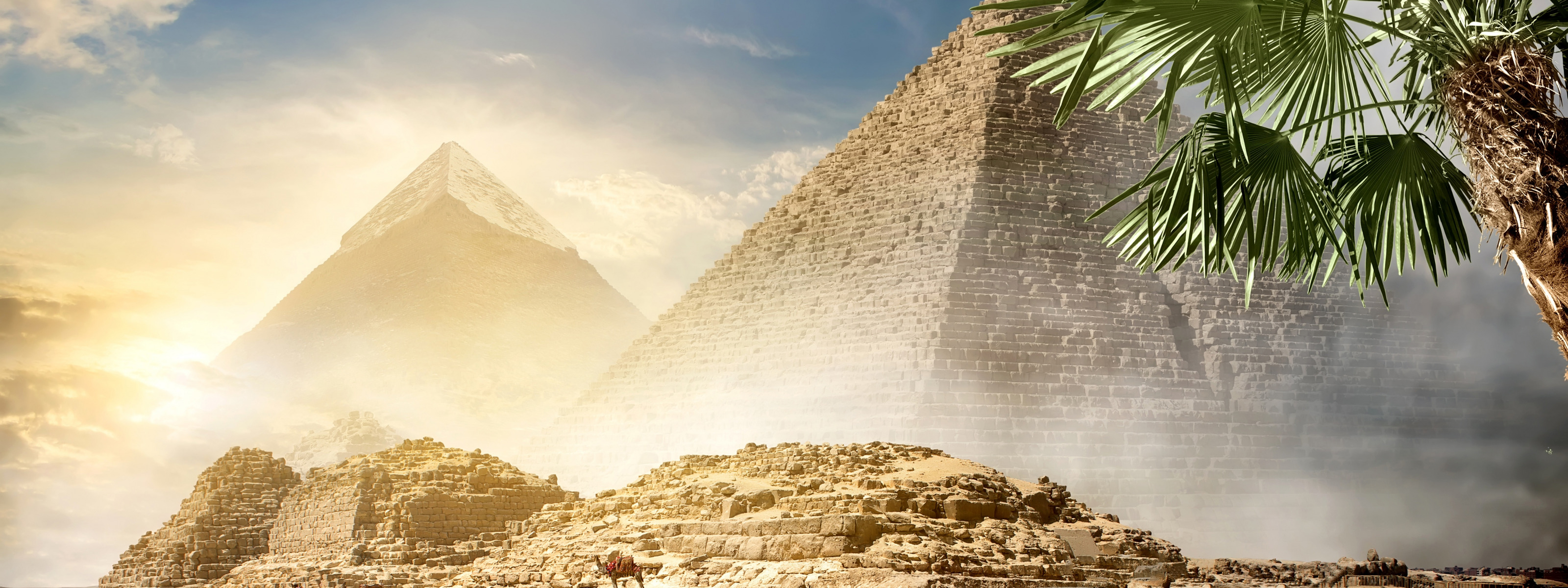 Каир пирамиды пальмы