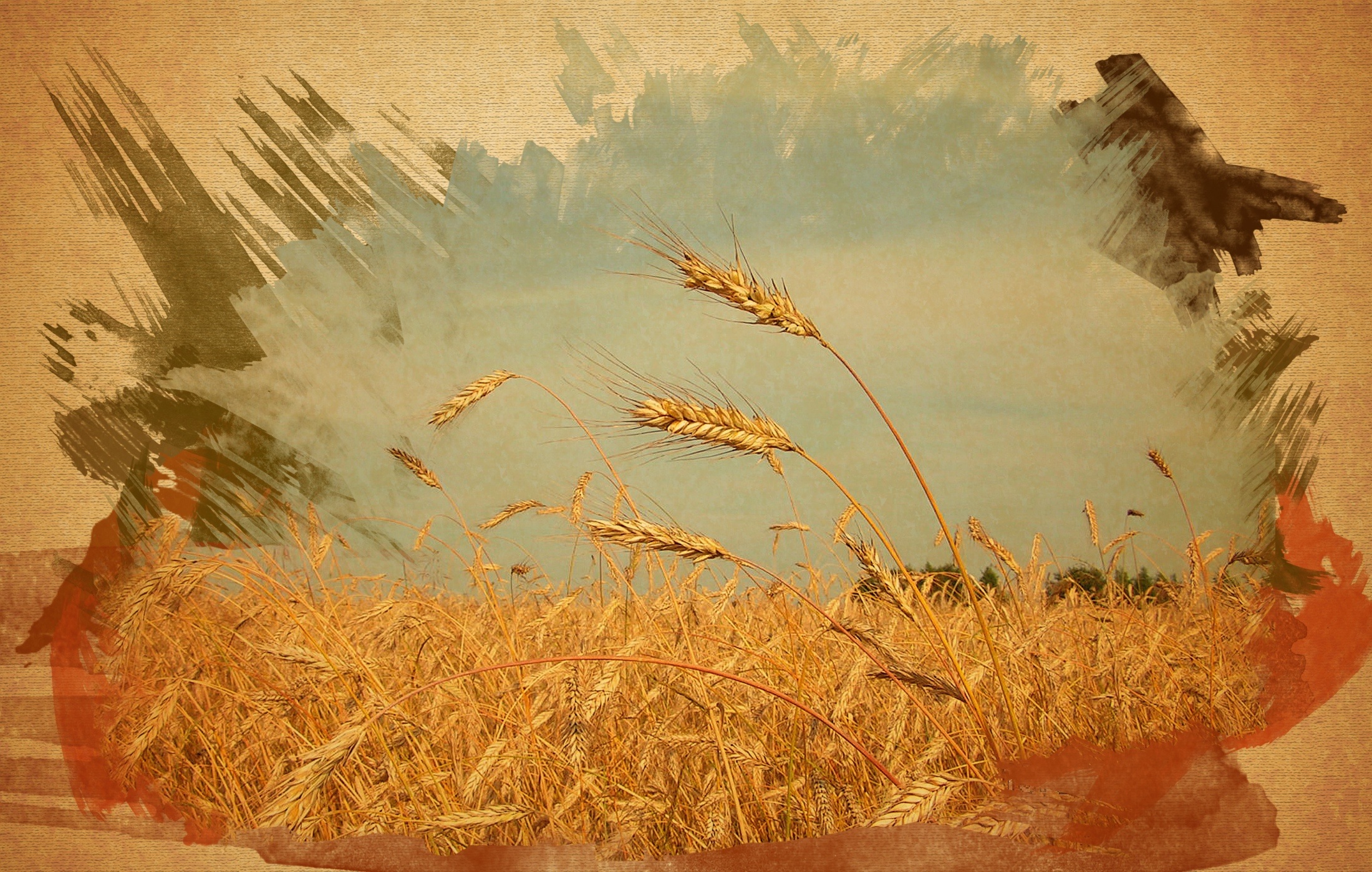 Хлебное поле 1826