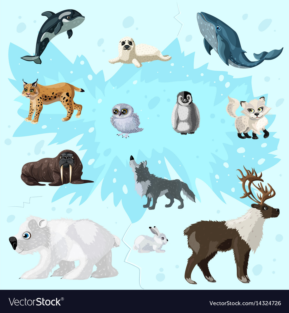 Животные Арктики вектор