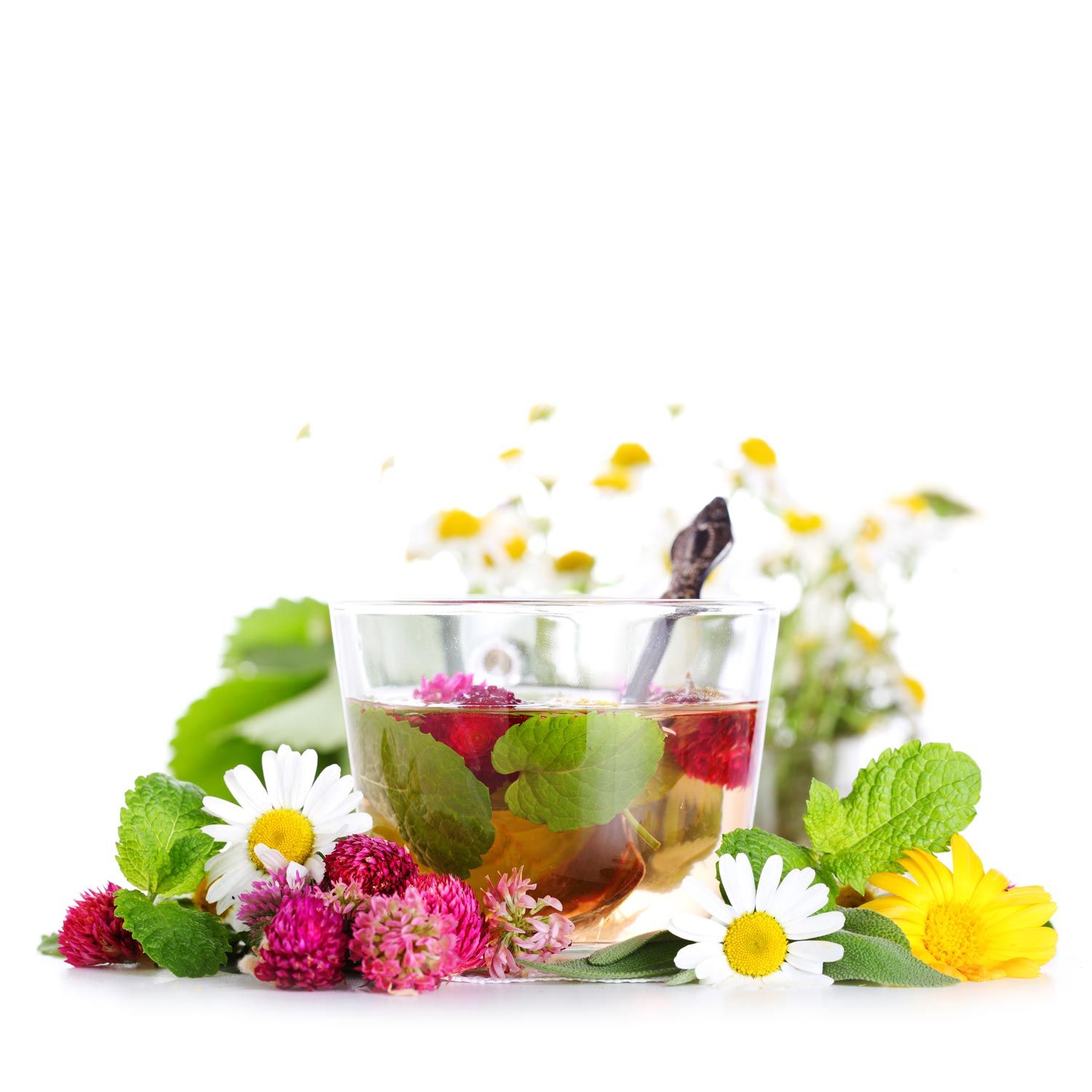 Чаи травяные, цветочные