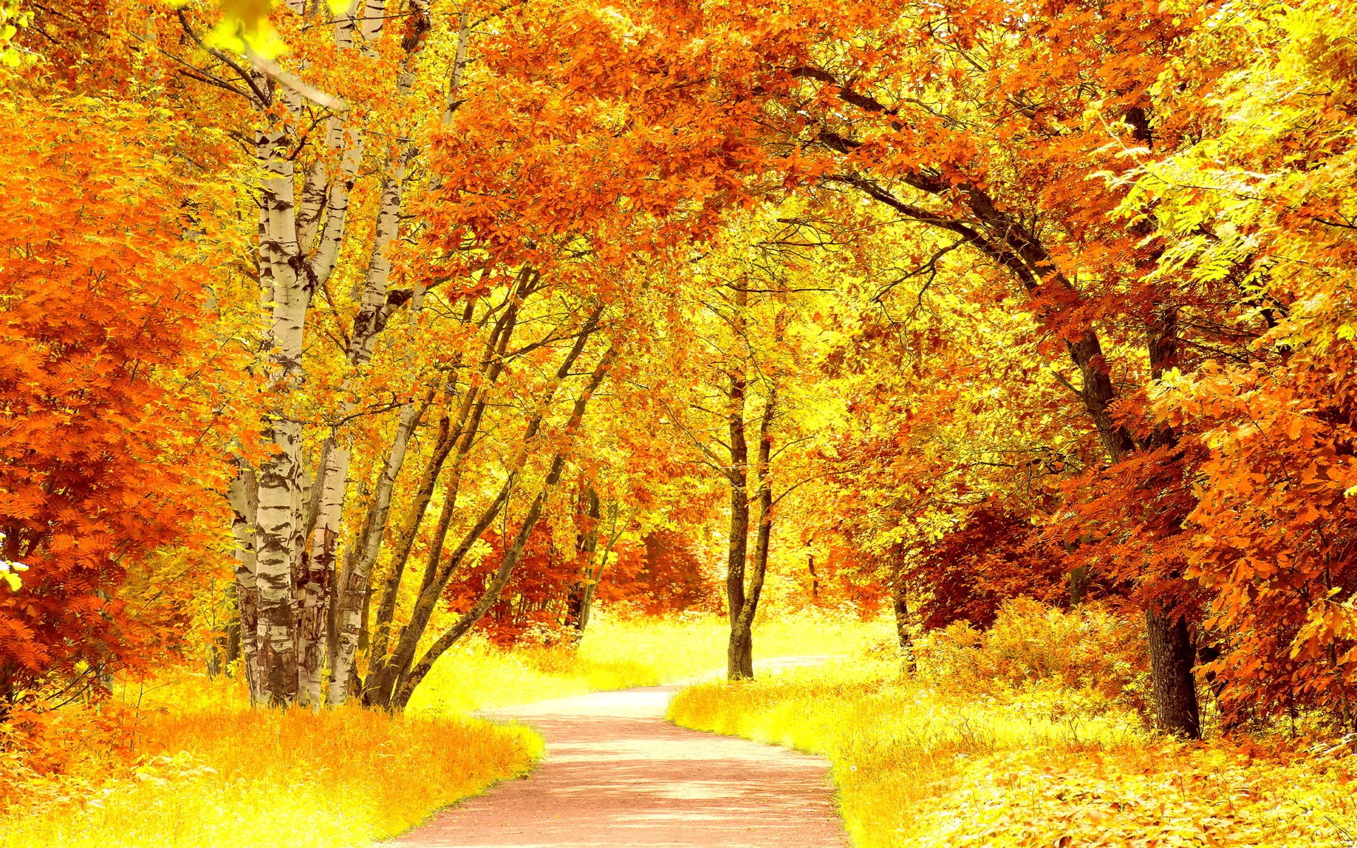 красивые картинки на тему золотая осень