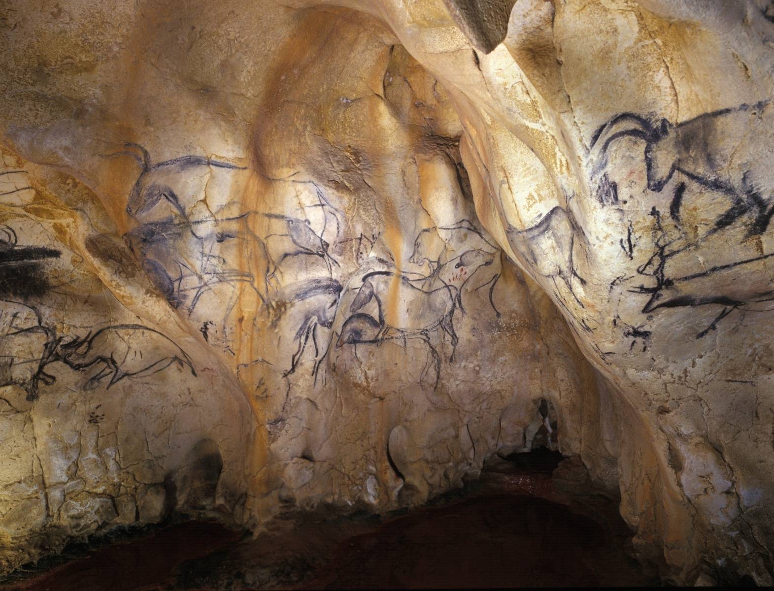 Липцы пещеры. Пещера Кроманьон во Франции. Грот Кроманьон Франция. Кроманьонцы пещера Кроманьон. Кро-Маньон во Франции.