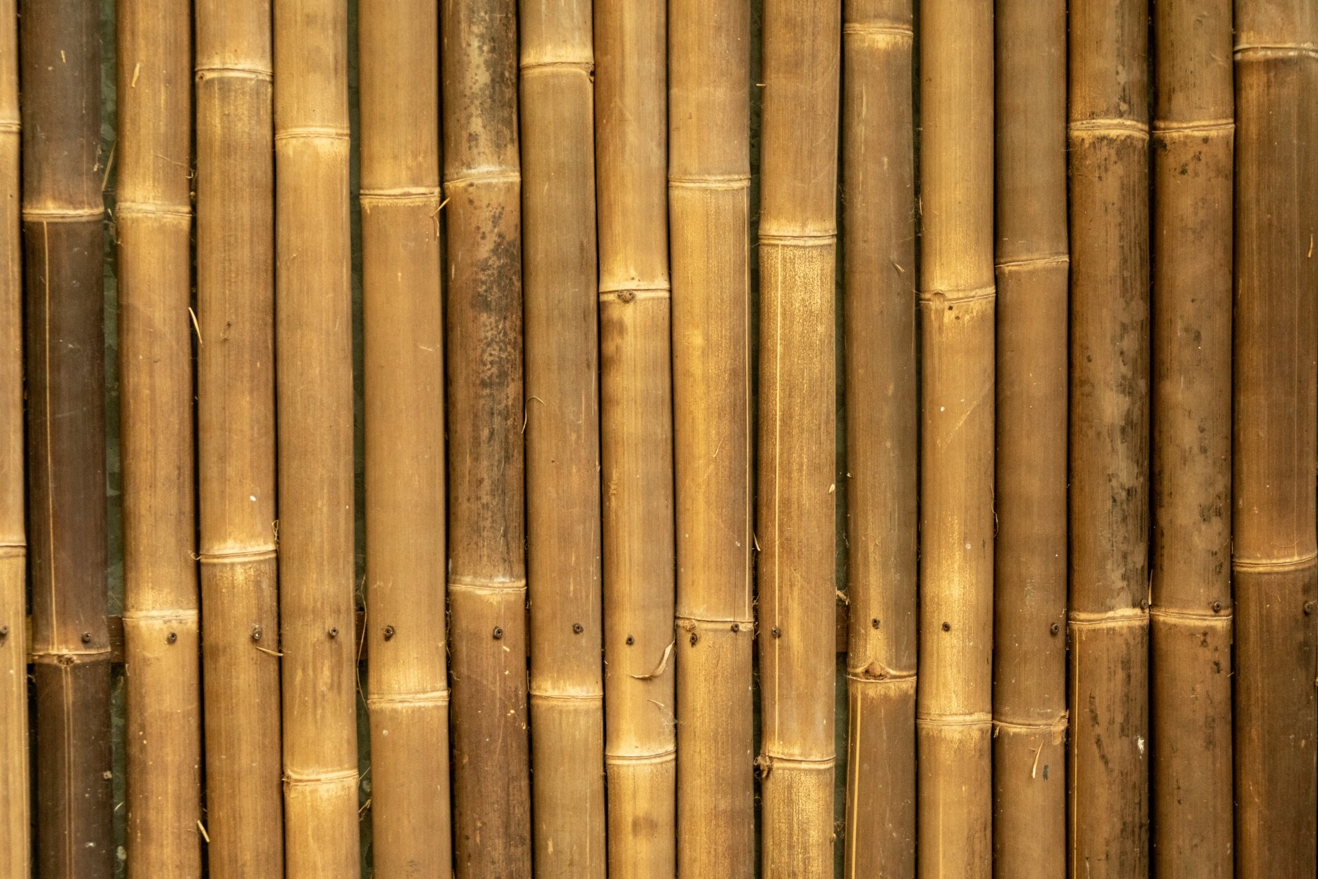 Бамбук фактура