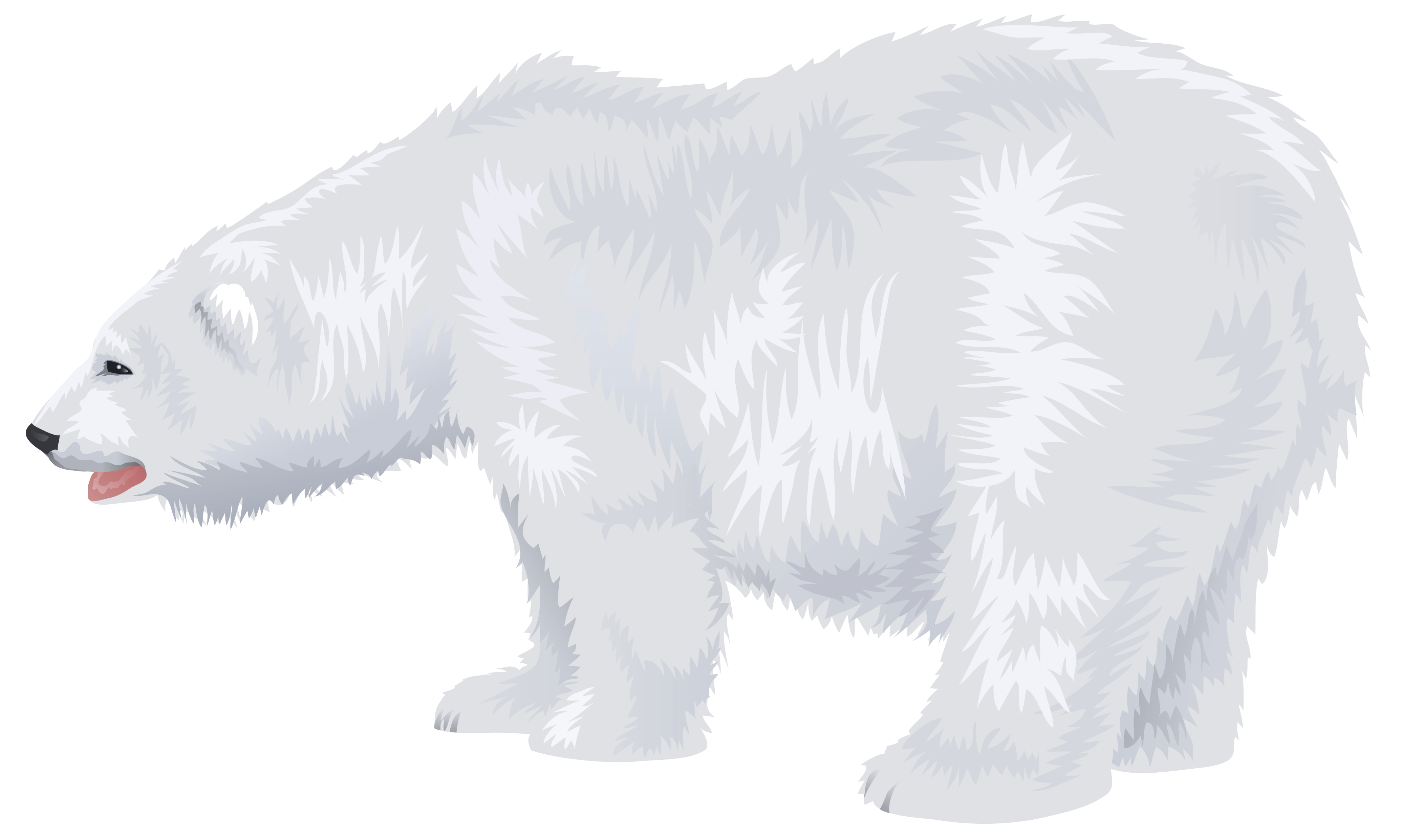 Белые картинки для детей. Белый медведь мультяшный. Белый медведь на прозрачном фоне. Белый медведь на белом фоне. Белый медведь для детей.