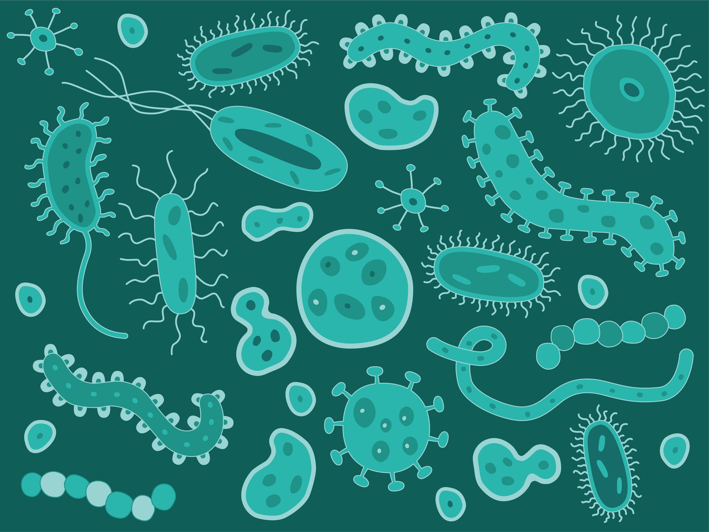 Бактерии иллюстрация