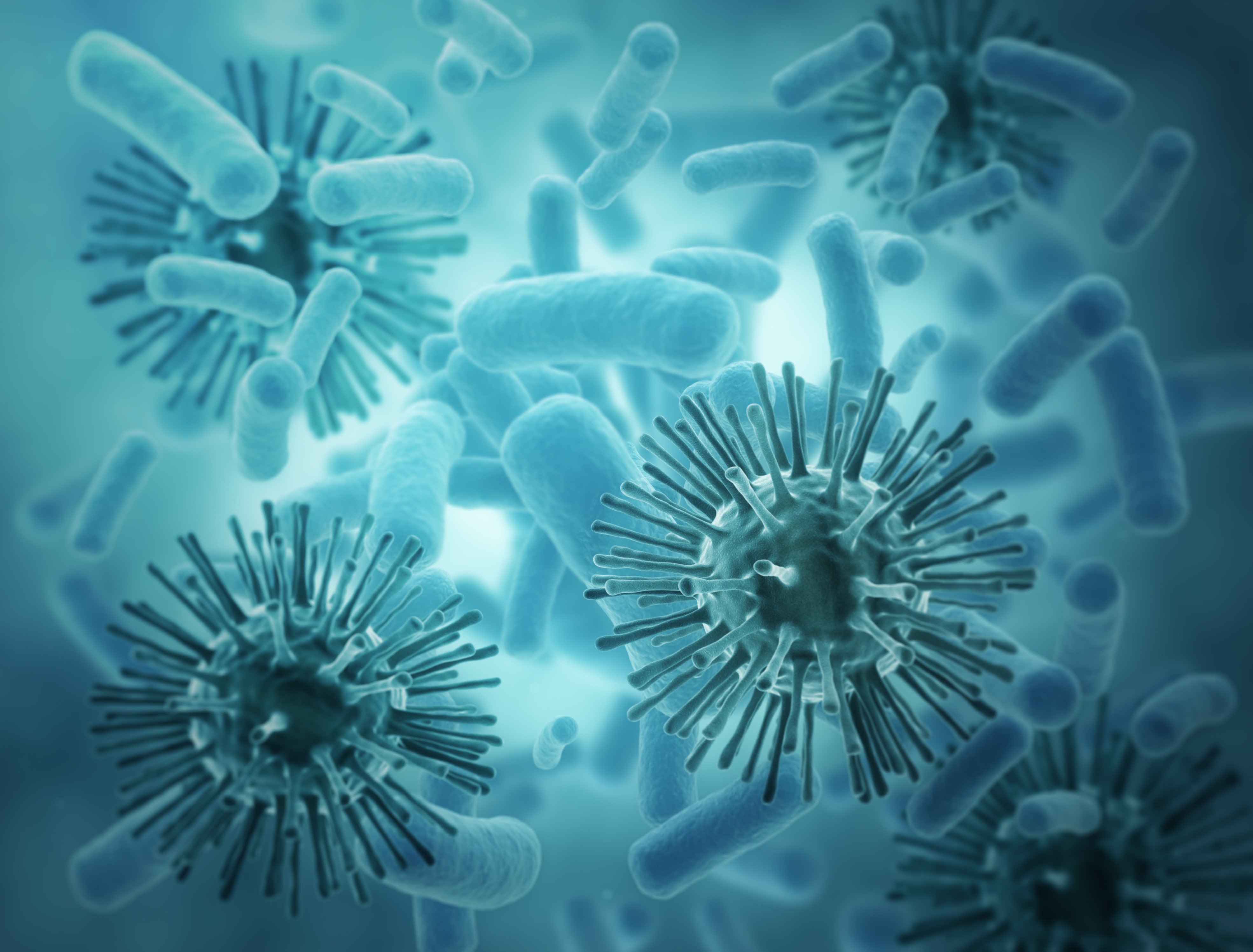 Вирусы и бактерии
