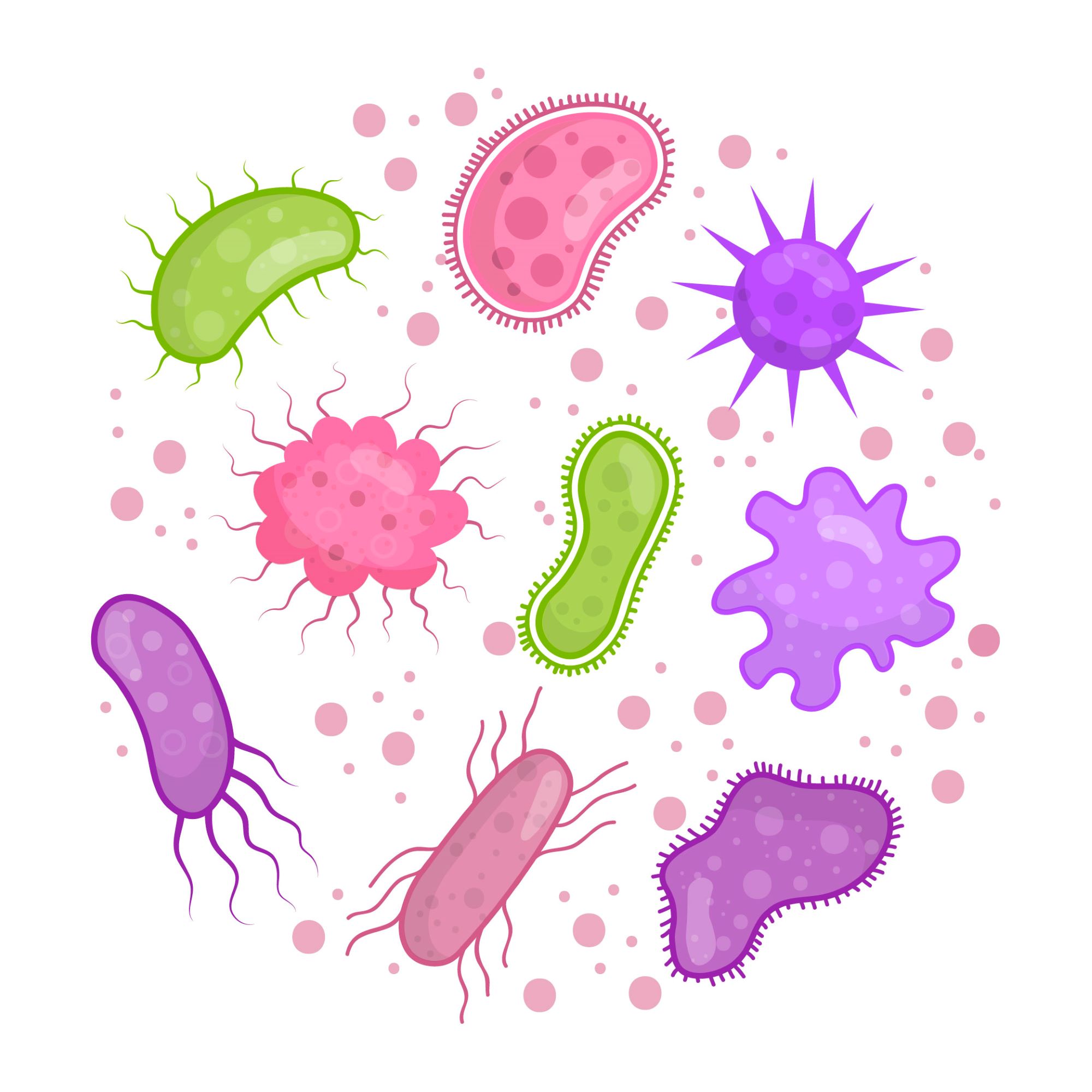 Бактерии без фона