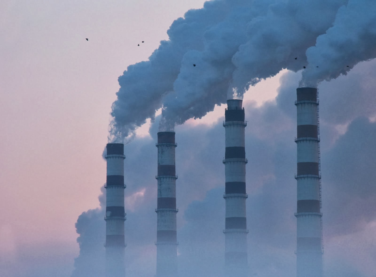 фото на тему загрязнение воздуха