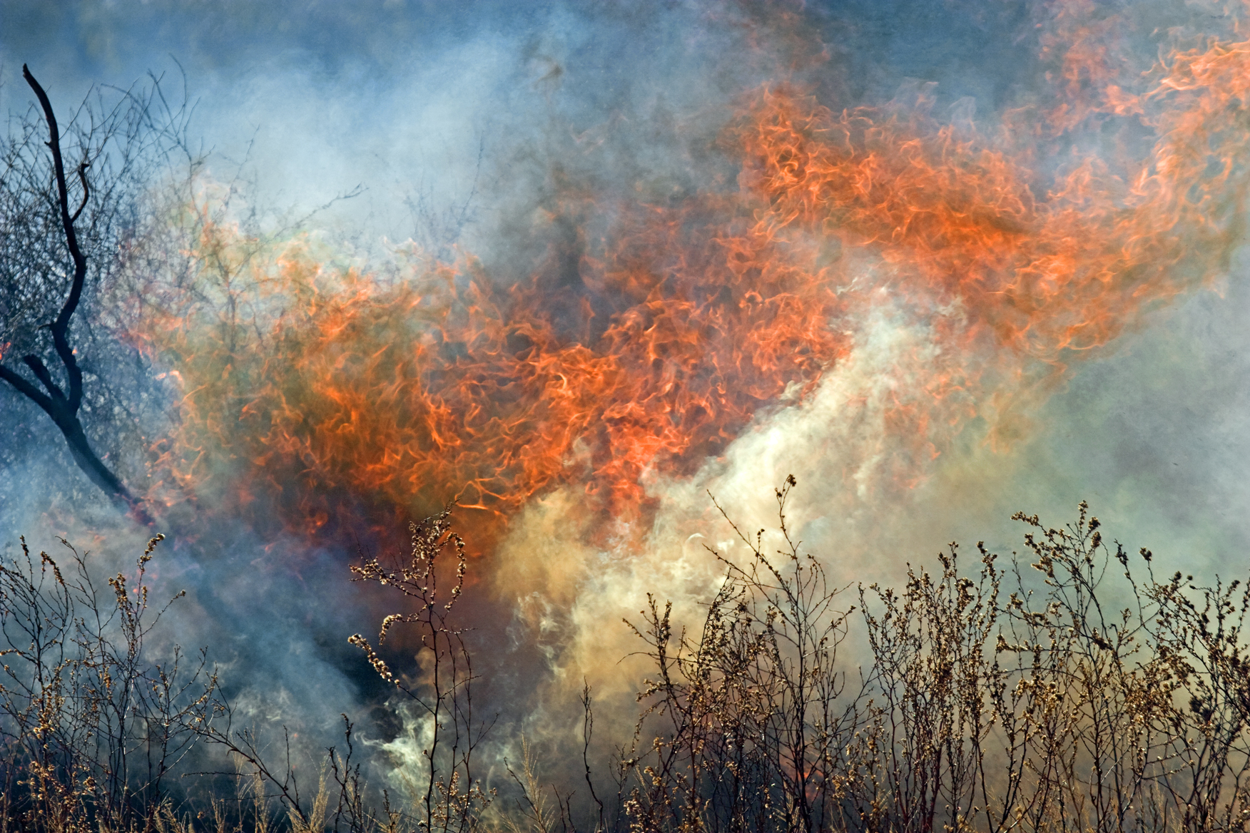 Картина Лесной пожар Алексей Кузьмич