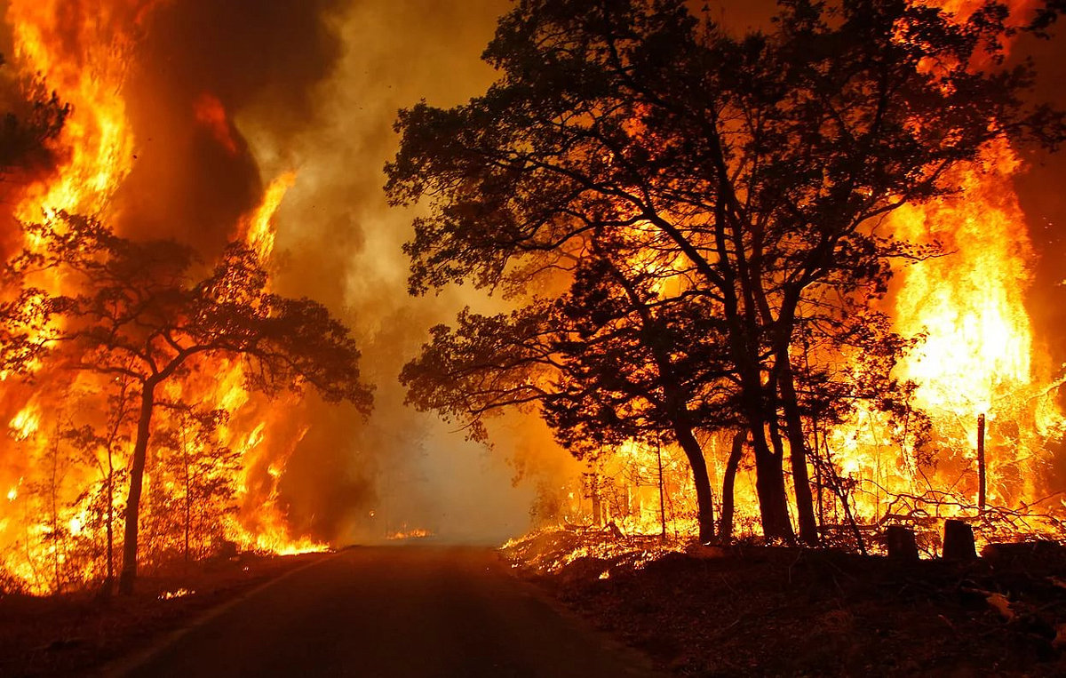 Стихийные бедствия Лесные пожары