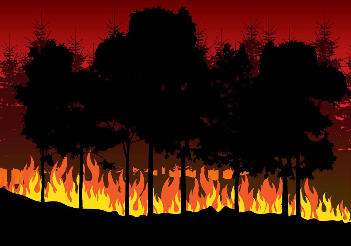 Лес в огне вектор