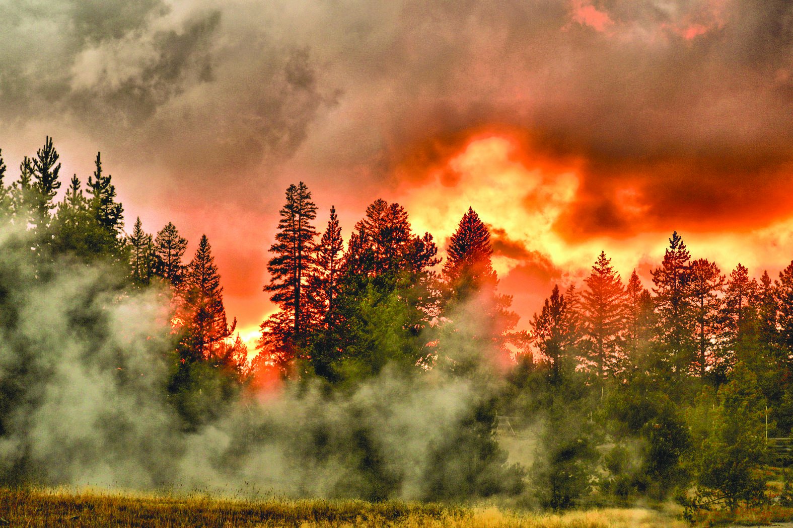 Пожары в Йеллоустонском национальном парке 1988