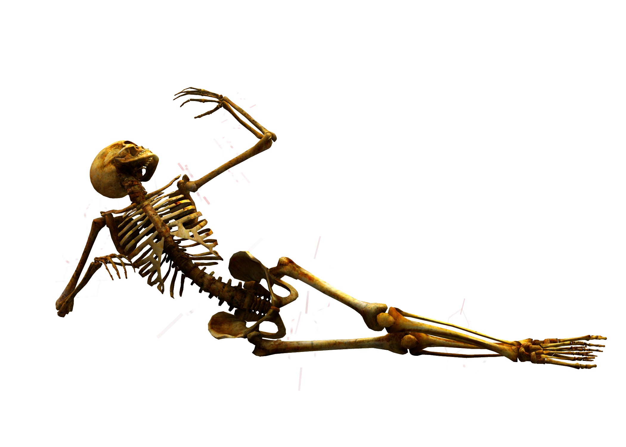 Картинка фон скелет. Скелет лежит. Лежачий скелет. Скелет на прозрачном фоне. Скелет без фона.