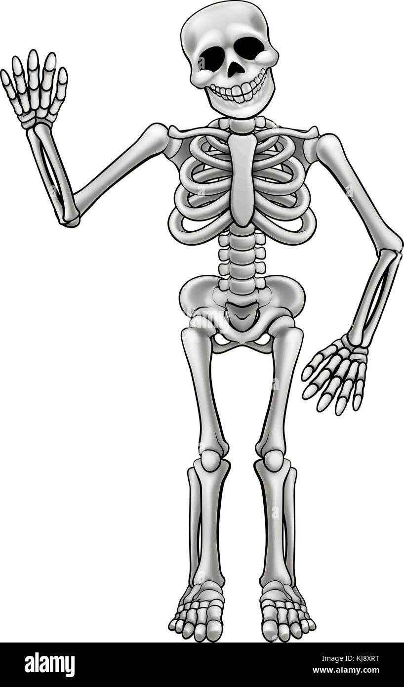 Скелет мульт